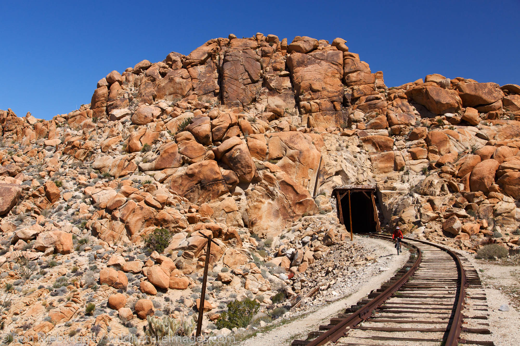 Mountain biking the Carrizo Gorge Railroad Track, Anza-Borrego Desert State Park, California.