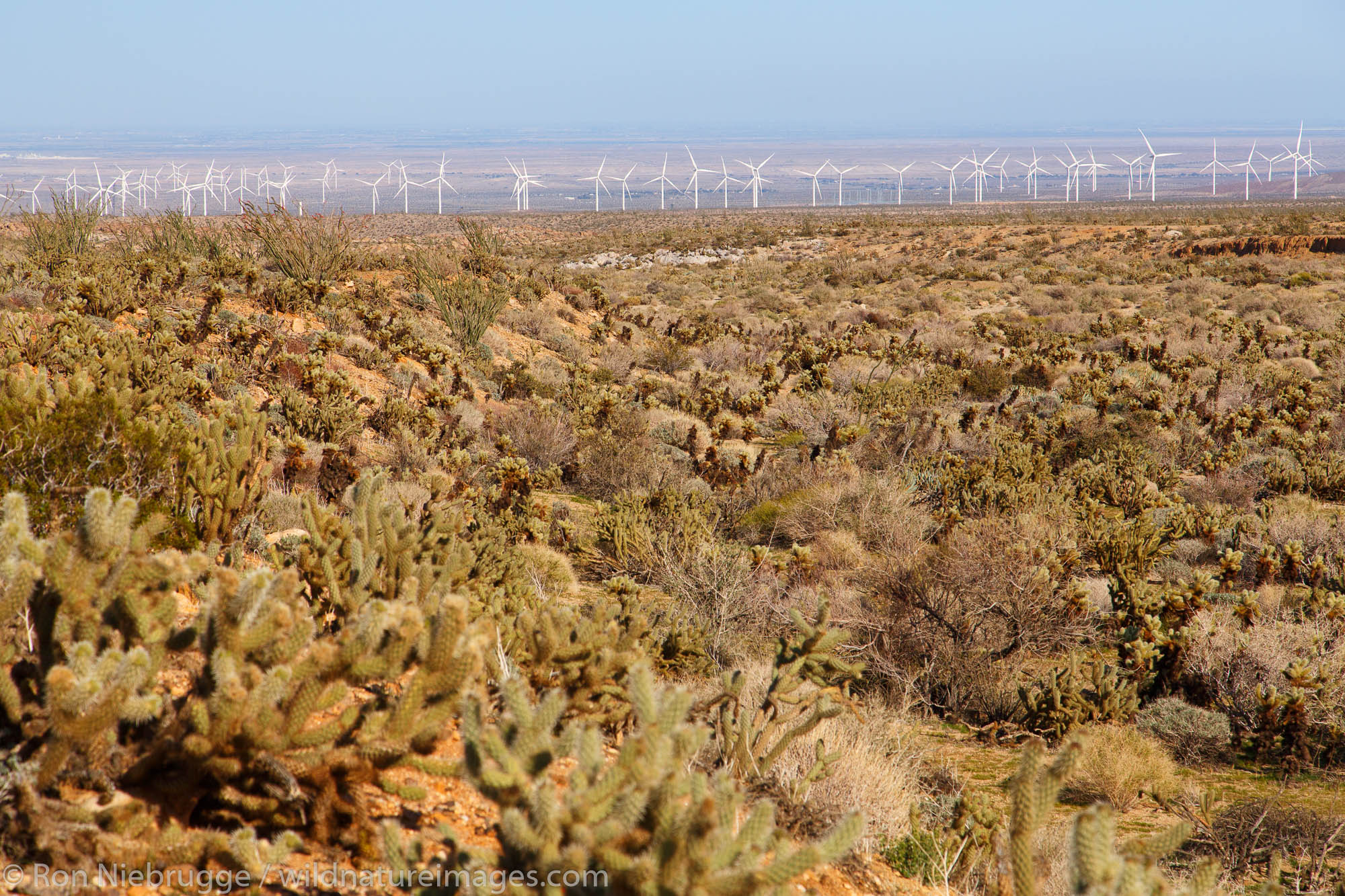 Ocotillo wind farm, Anza-Borrego Desert State Park, California.