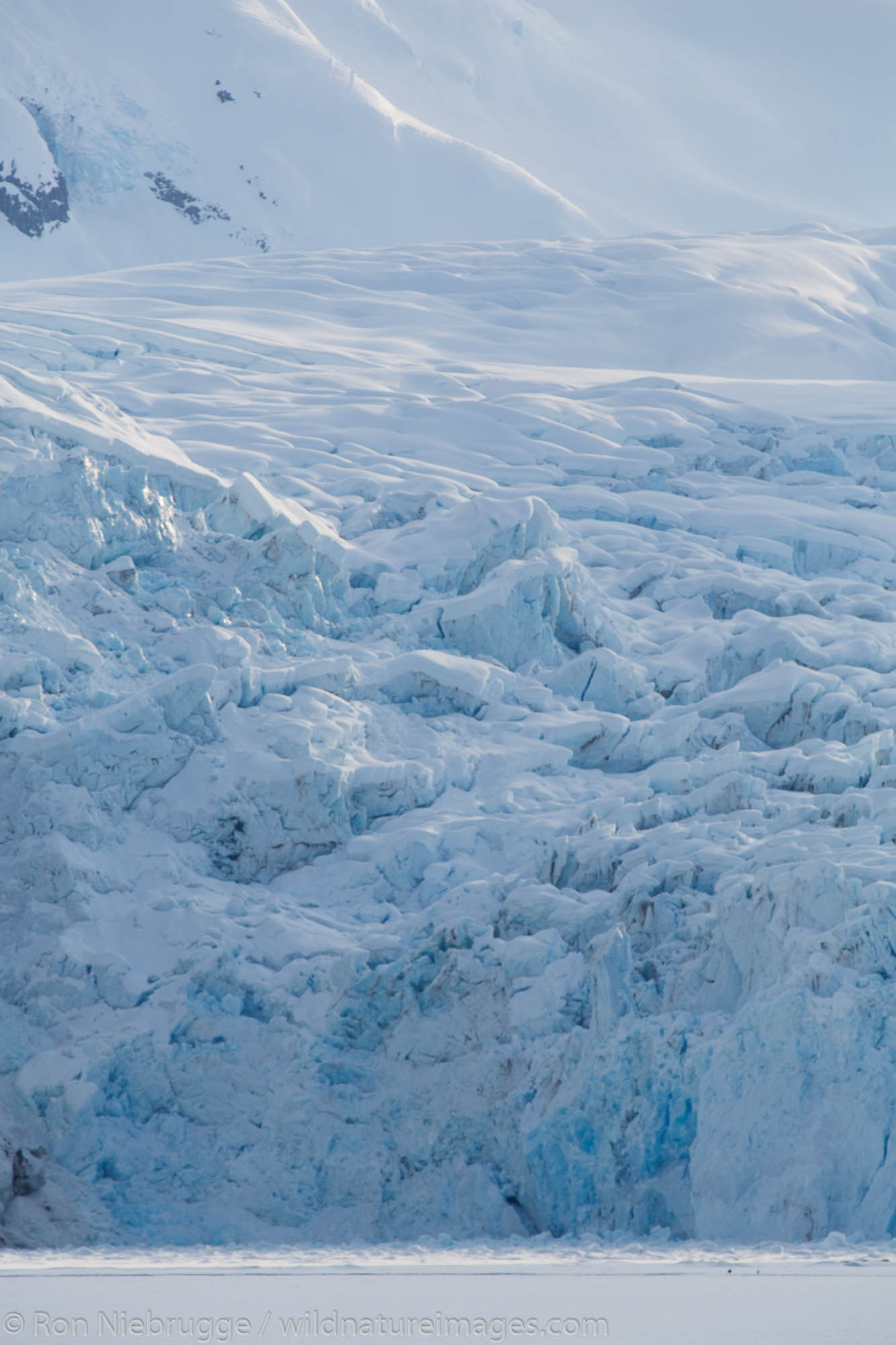 Nellie Juan Glacier, Prince William Sound, Chugach National Forest, Alaska.