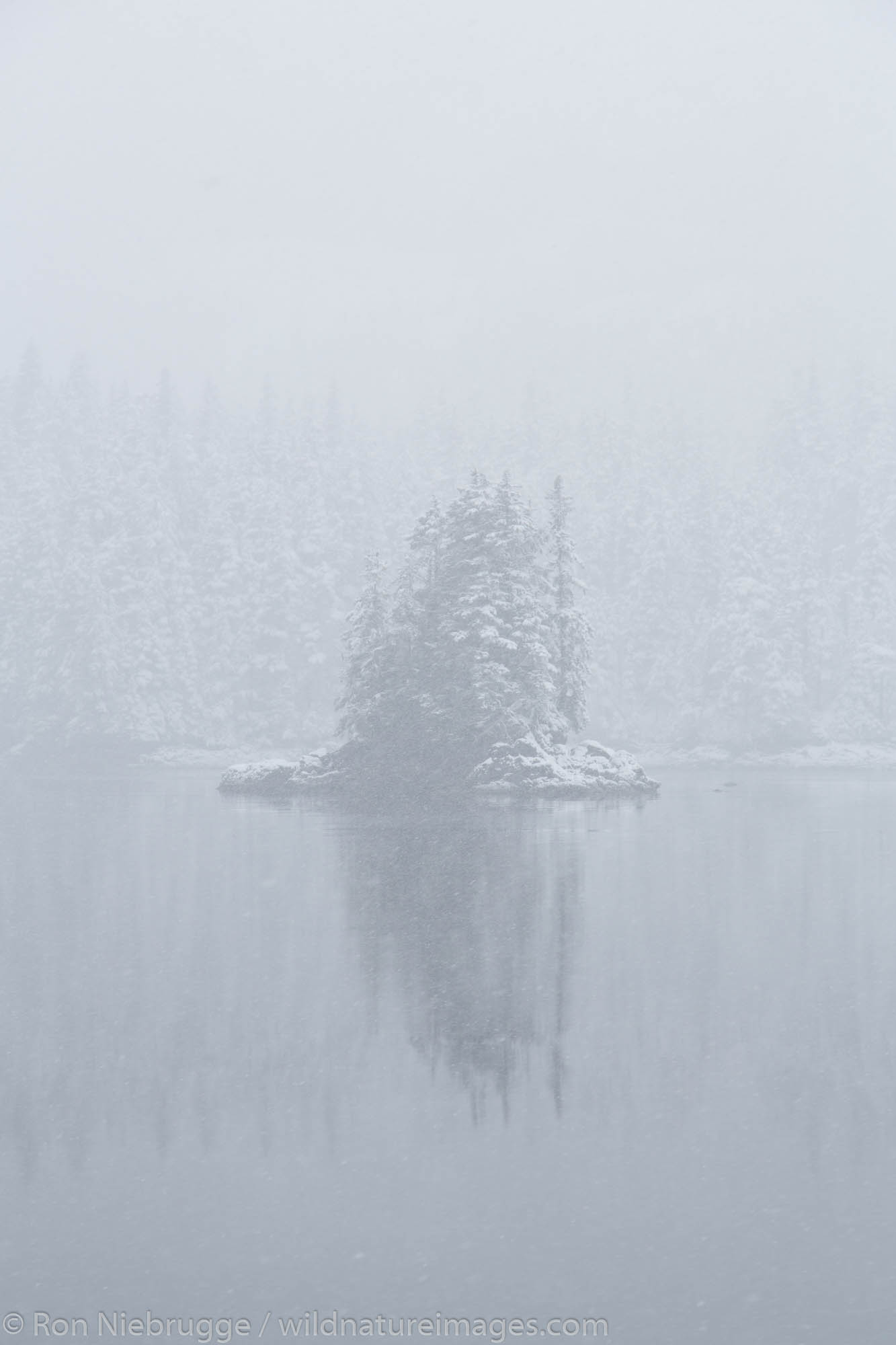 Snow in Culross Passage, Prince William Sound, Chugach National Forest, Alaska.