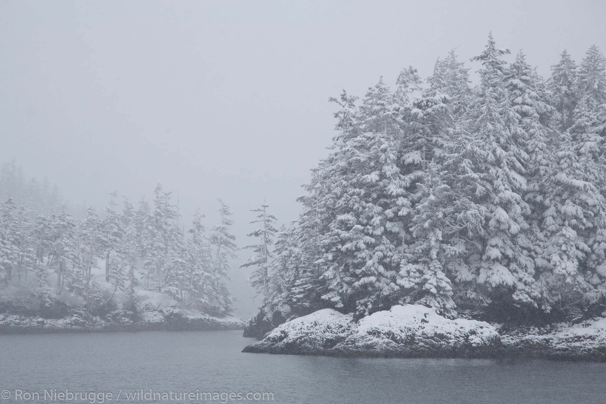 Snow in Culross Passage, Prince William Sound, Chugach National Forest, Alaska.