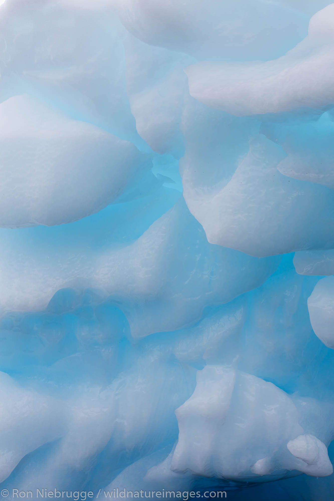 Icebergs in College Fjord, Prince William Sound, Chugach National Forest, Alaska.
