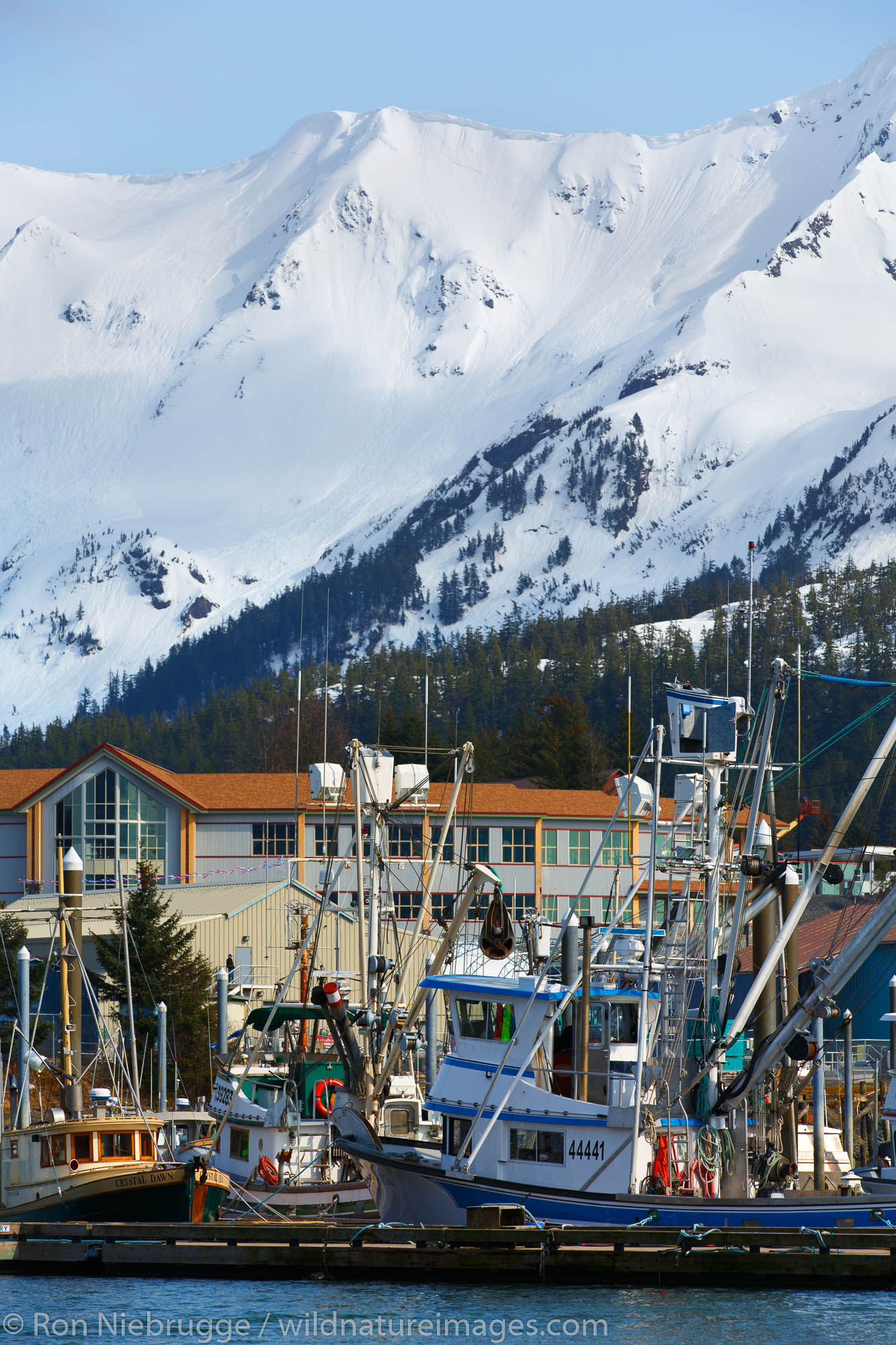 Cordova boat harbor and town, Cordova, Alaska.
