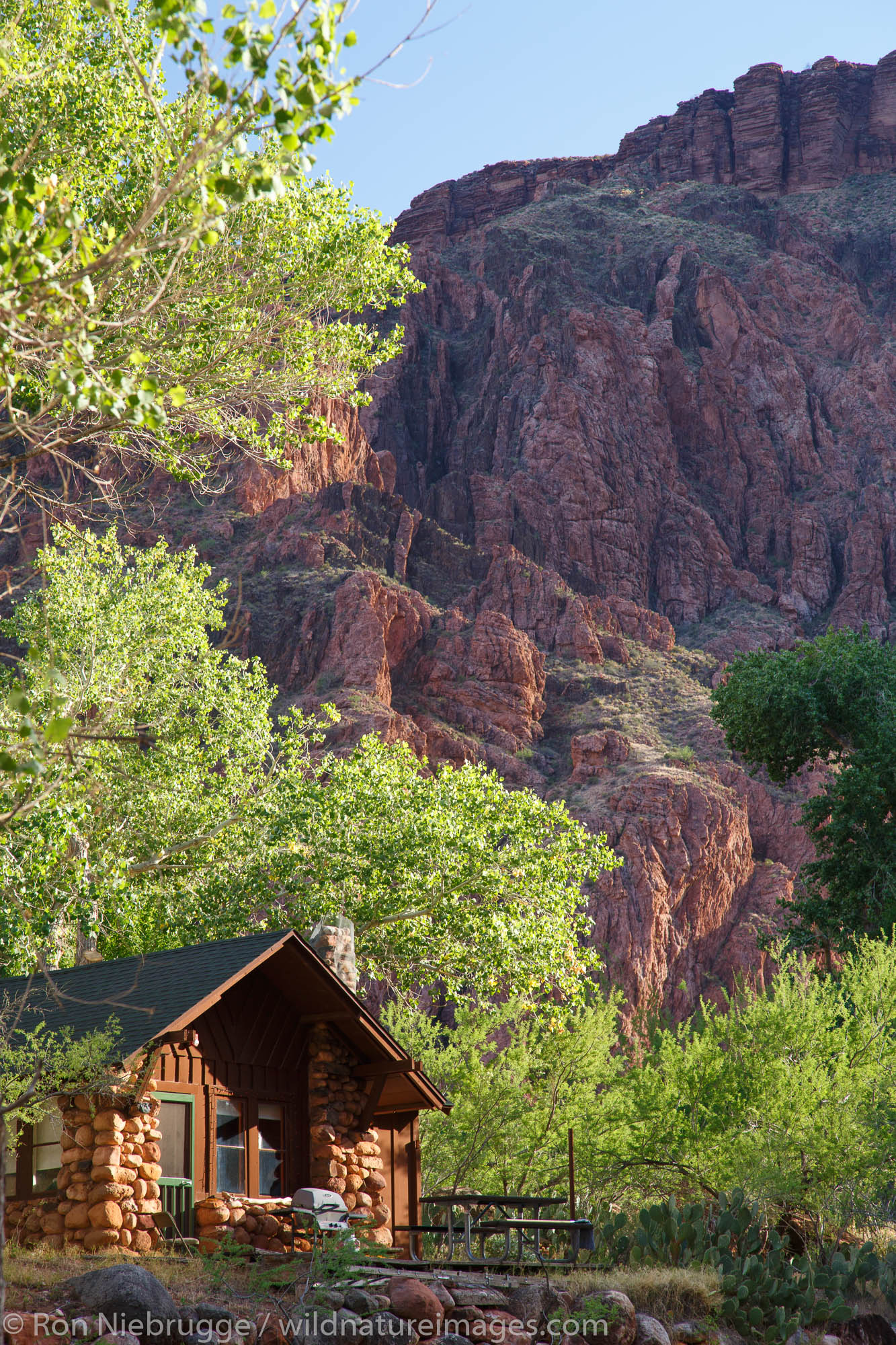 Park Service cabin at the bottom of the Grand Canyon near the Colorado River and Bright Angel Creek, Grand Canyon National Park...