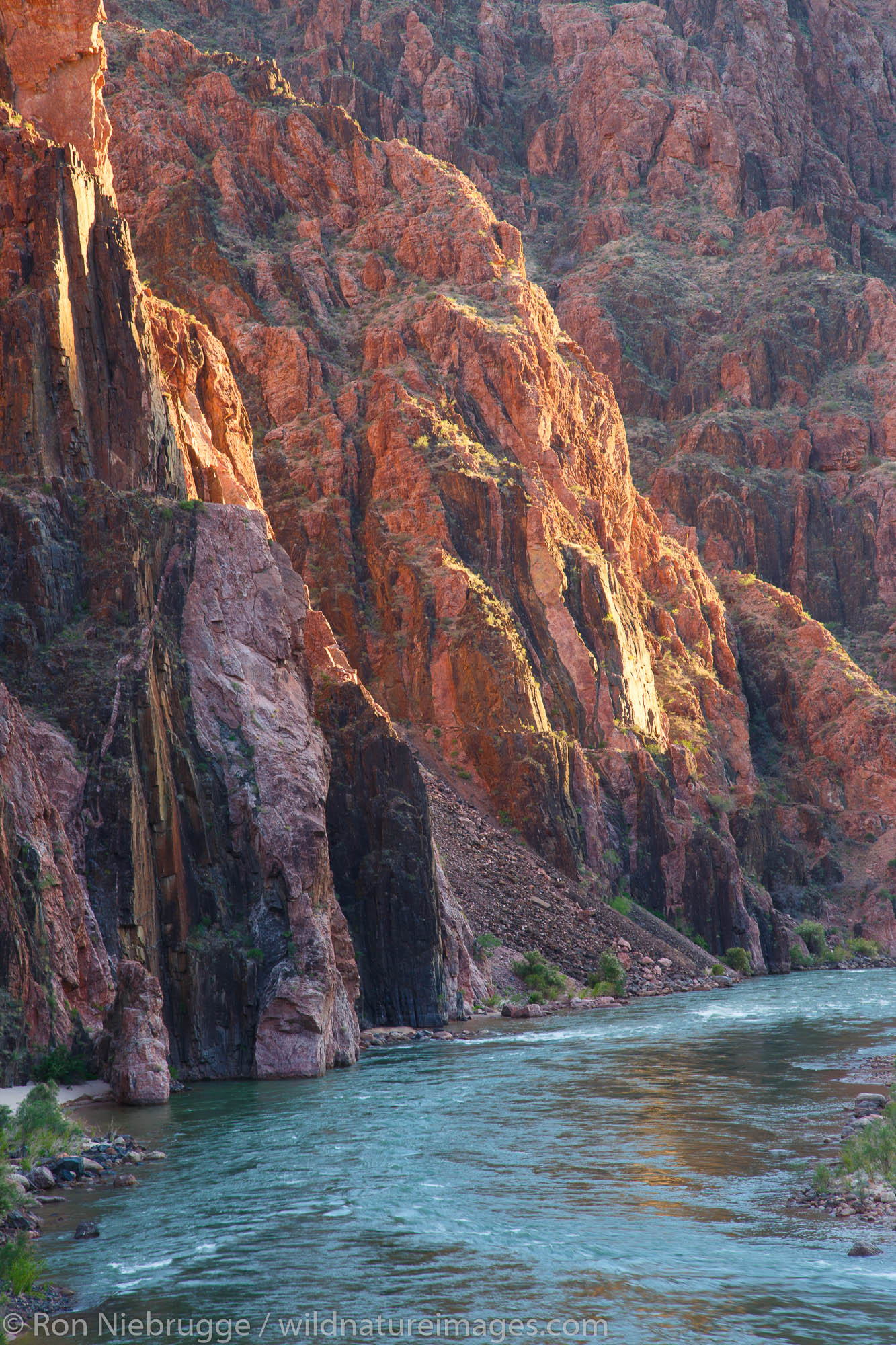 Colorado River from the end of the South Kaibab Trail, Grand Canyon National Park, Arizona.