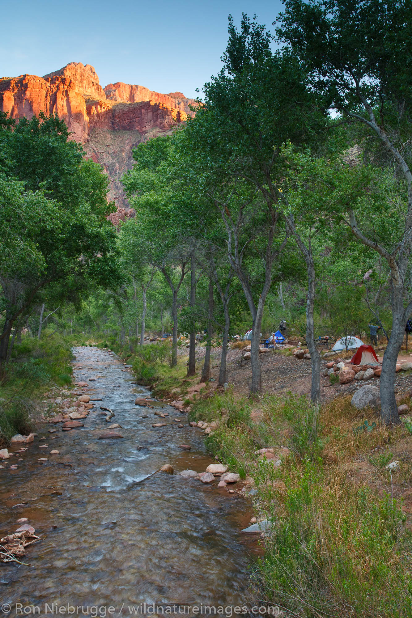 Bright Angel creek and Campground and the end of the South Kaibab Trail, Grand Canyon National Park, Arizona.