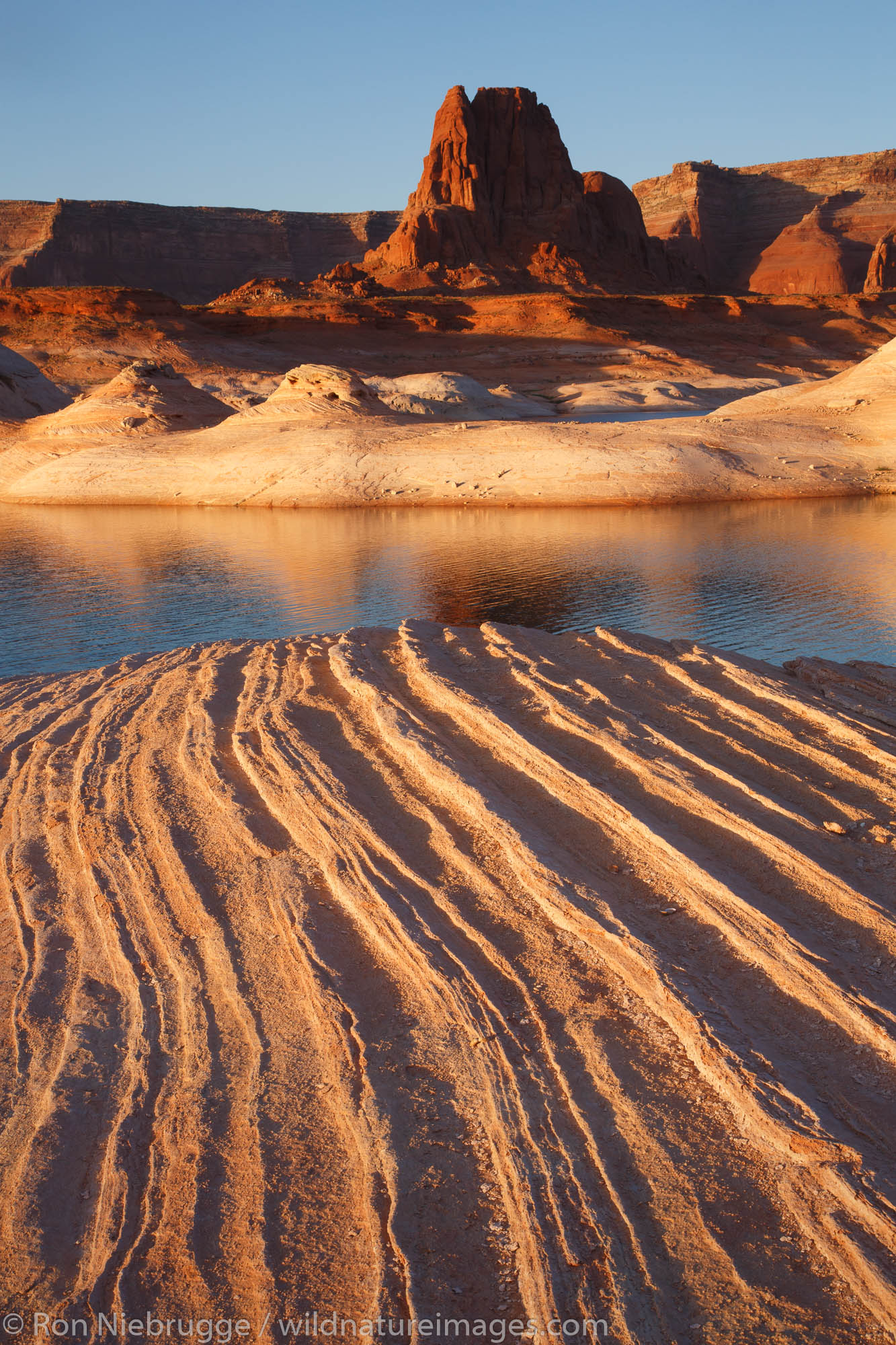 West Canyon Lake Powell Glen Canyon National Recreation Area Page Arizona.