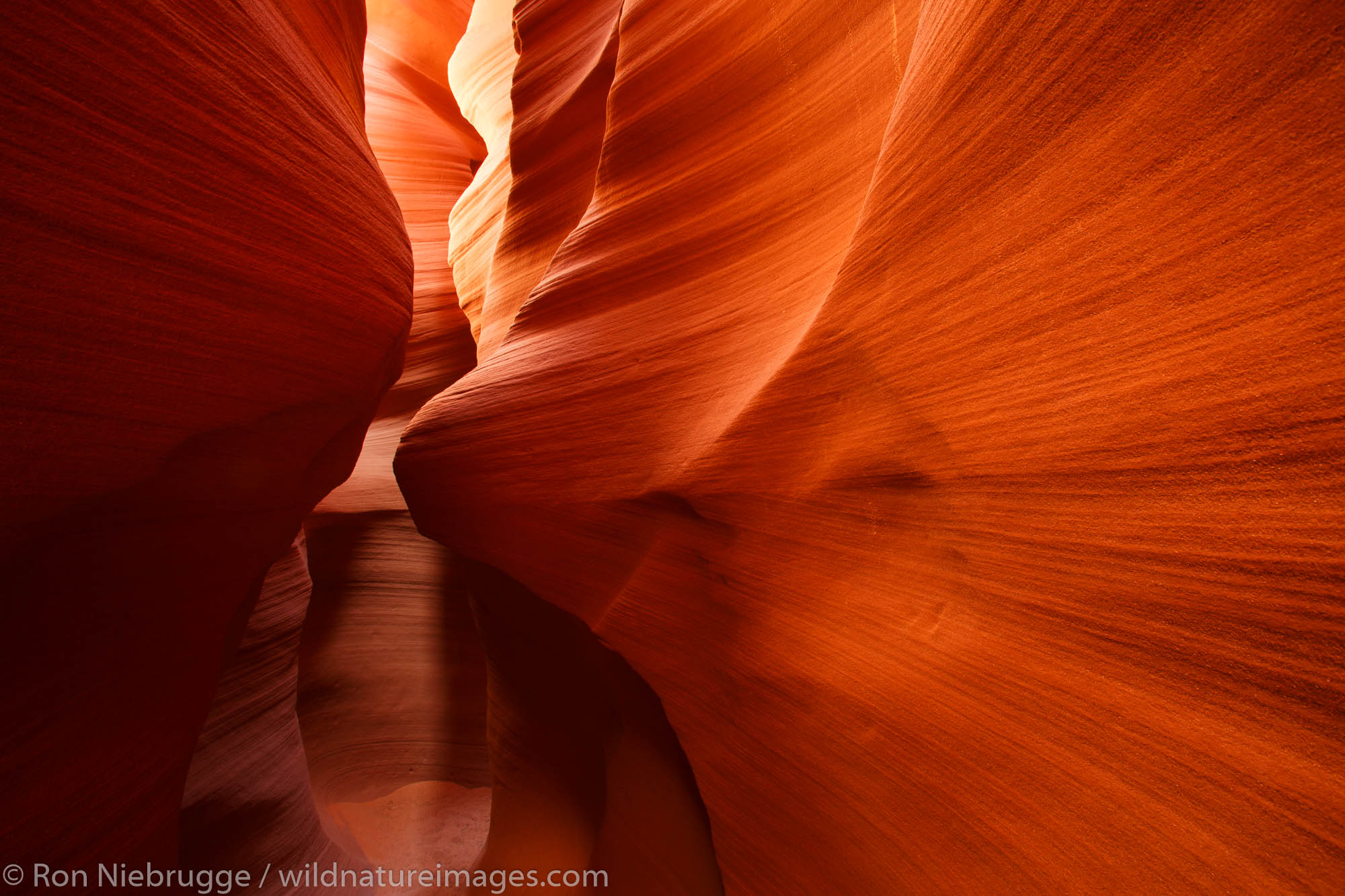 Slot canyon known as Secret Canyon on Navajo land, Page, Arizona.