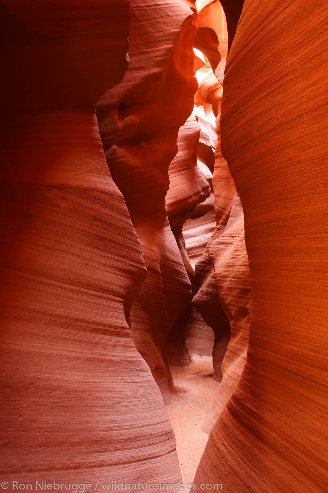 Slot canyon known as Secret Canyon on Navajo land, Page, Arizona.