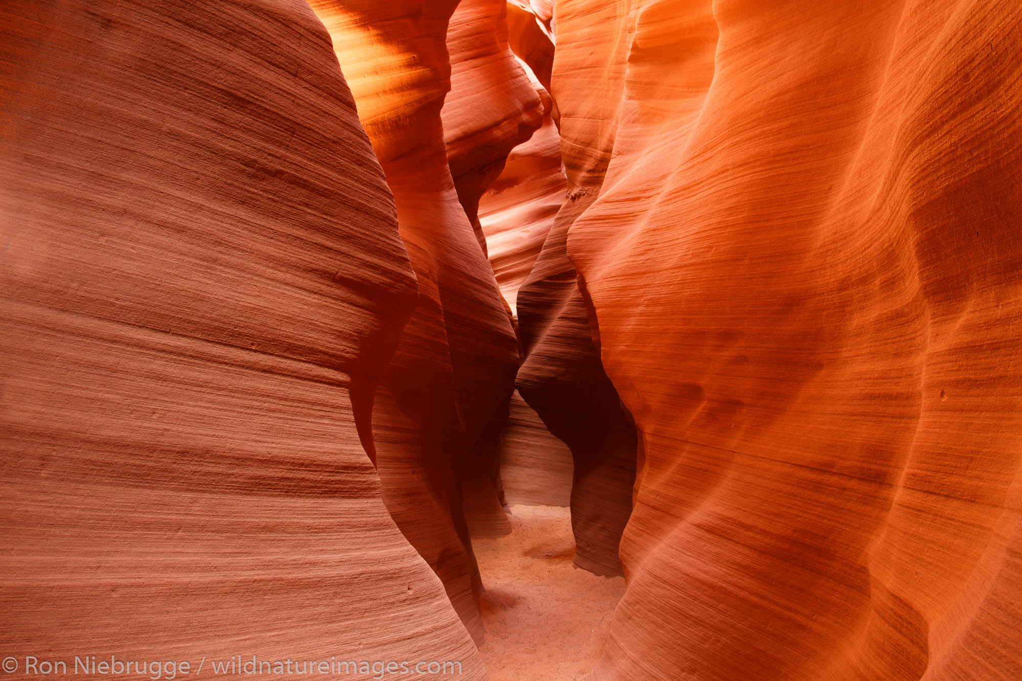 Slot canyon known as Secret Canyon on Navajo land, Page, Arizona.