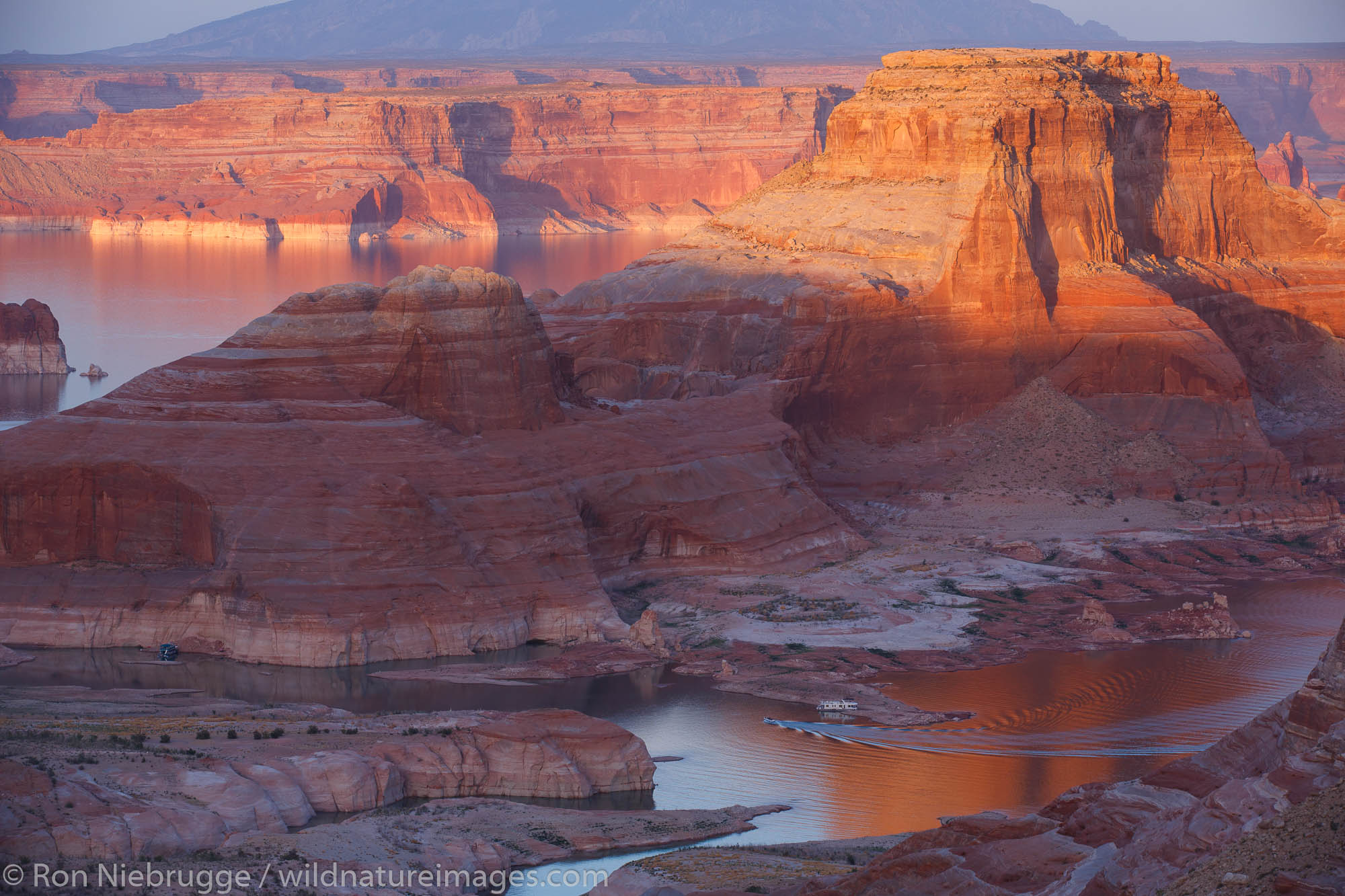 Alstrom Point Lake Powell Glen Canyon National Recreation Area Page Arizona.