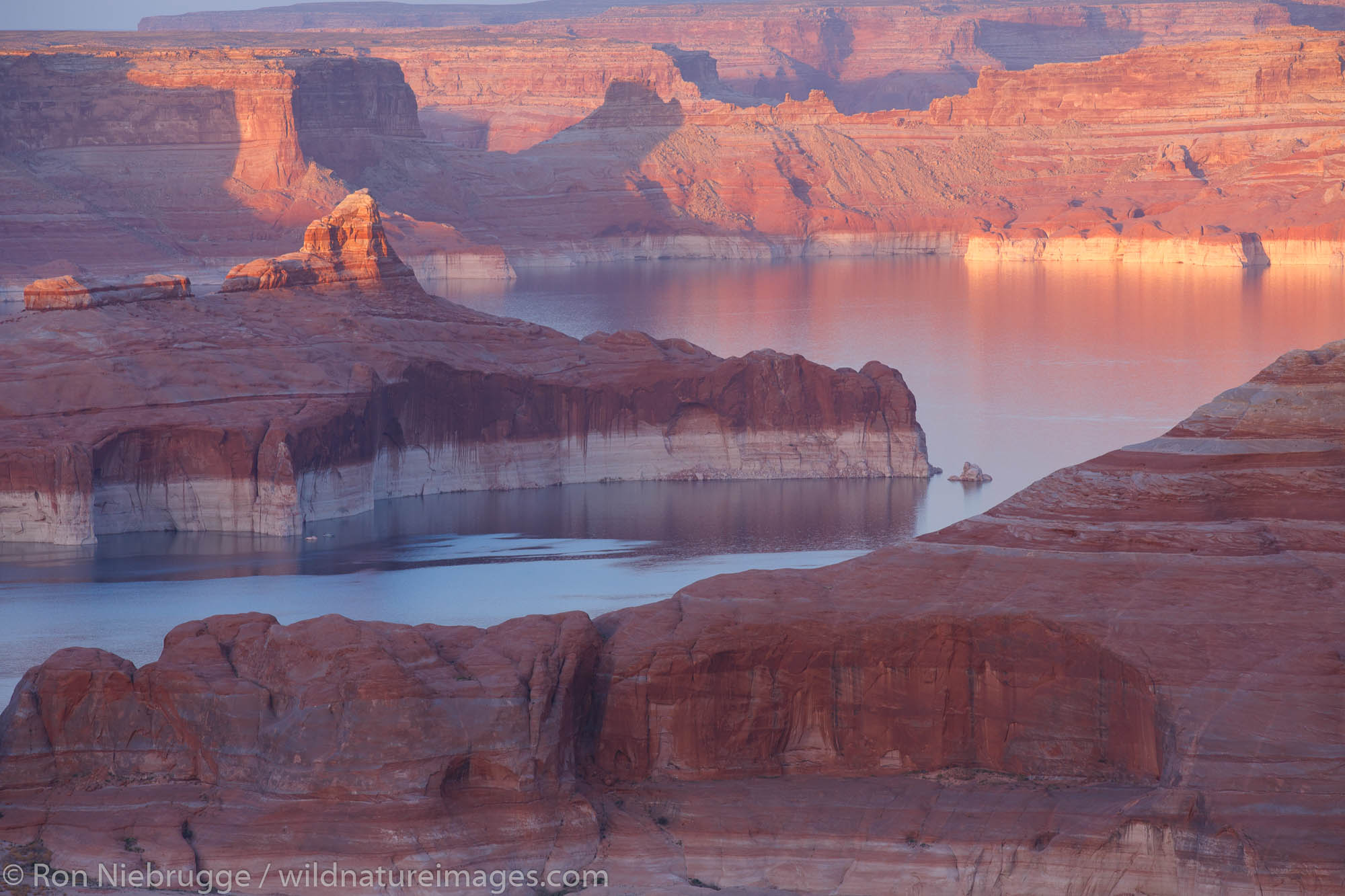 Alstrom Point Lake Powell Glen Canyon National Recreation Area Page Arizona.
