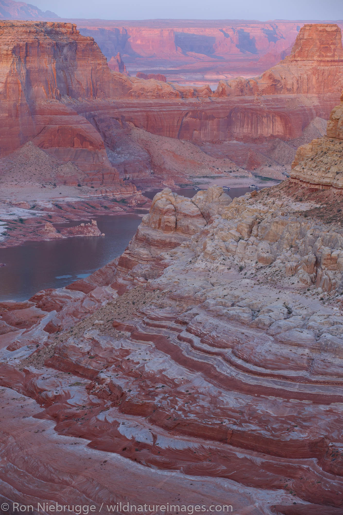 Alstrom Point Lake Powell Glen Canyon National Recreation Area Page Arizona.