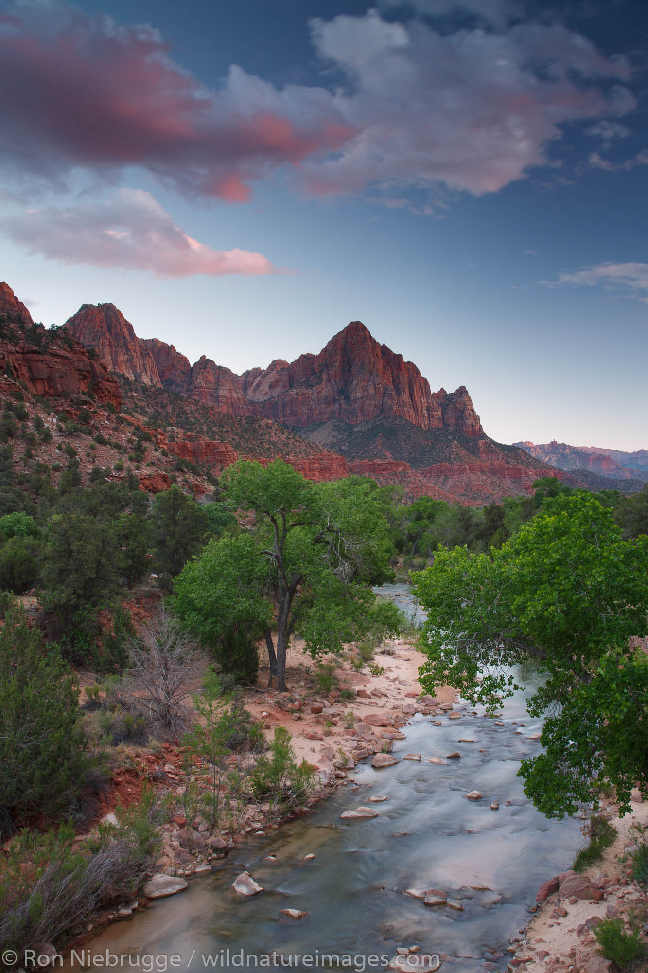 The Virgin River, Zion National Park, Utah.