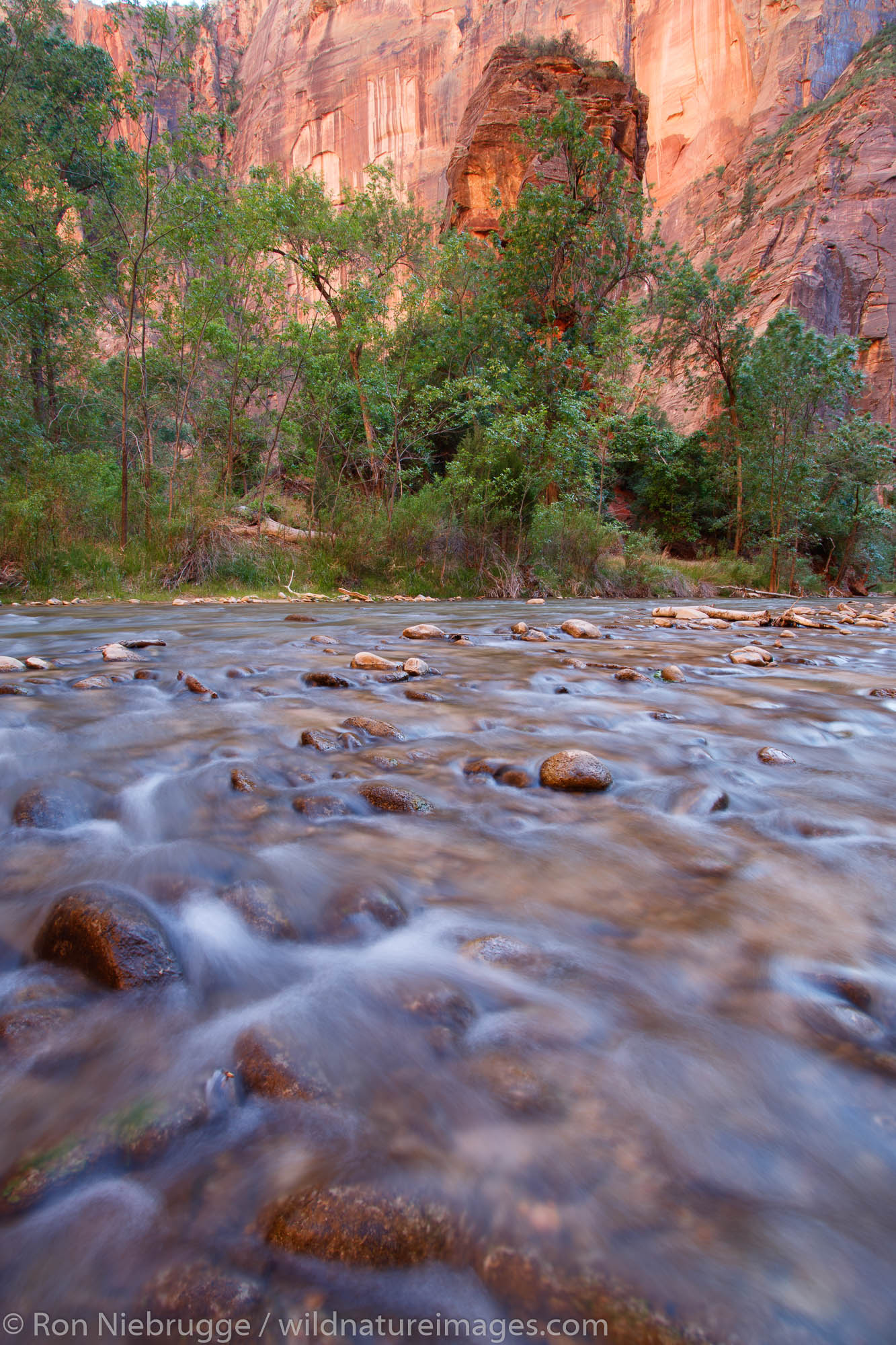 Virgin River near the Temple of Sinawava, Zion National Park, Utah.