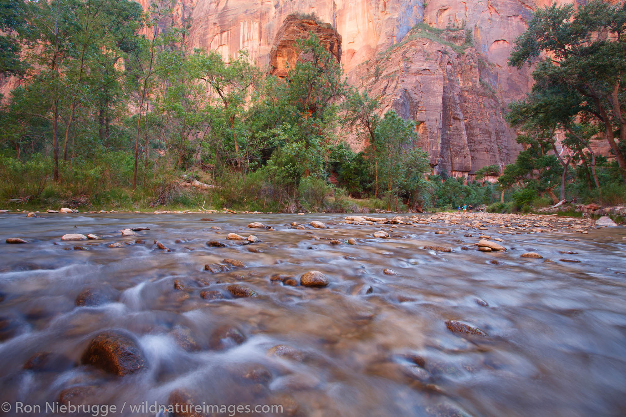 Hikers in the Virgin River near the Temple of Sinawava, Zion National Park, Utah.