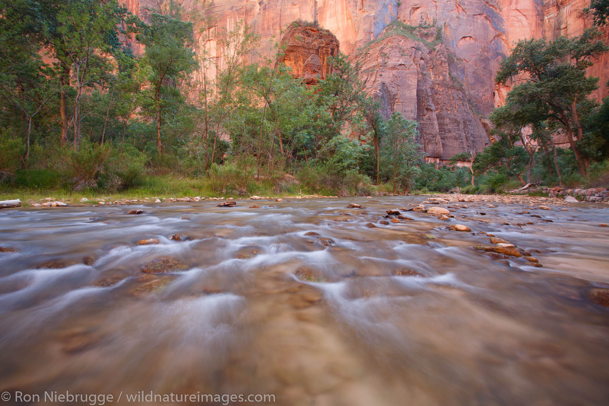 Virgin River near the Temple of Sinawava, Zion National Park, Utah.