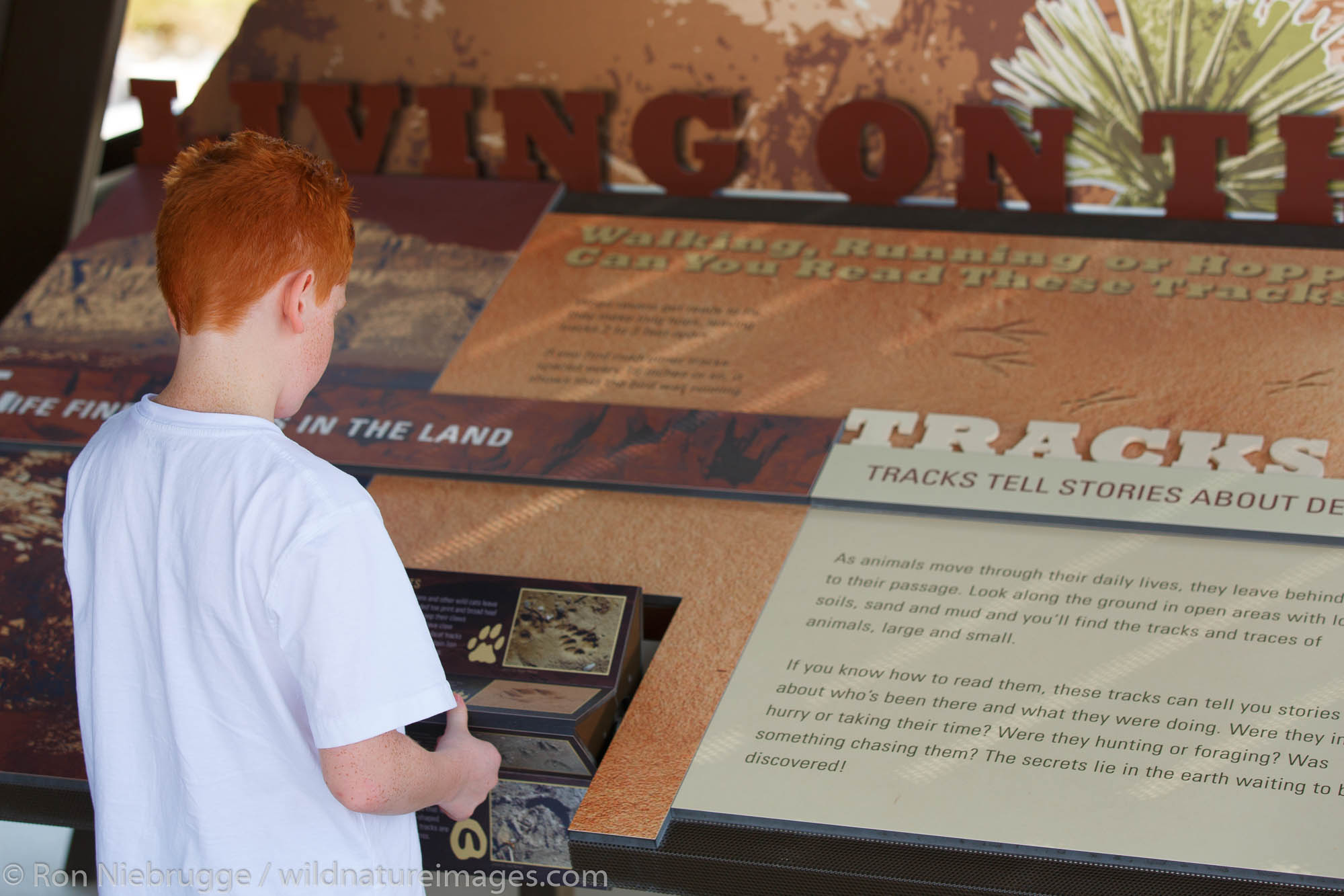 Red Rock Canyon National Conservation Area Visitor Center, Las Vegas, Nevada