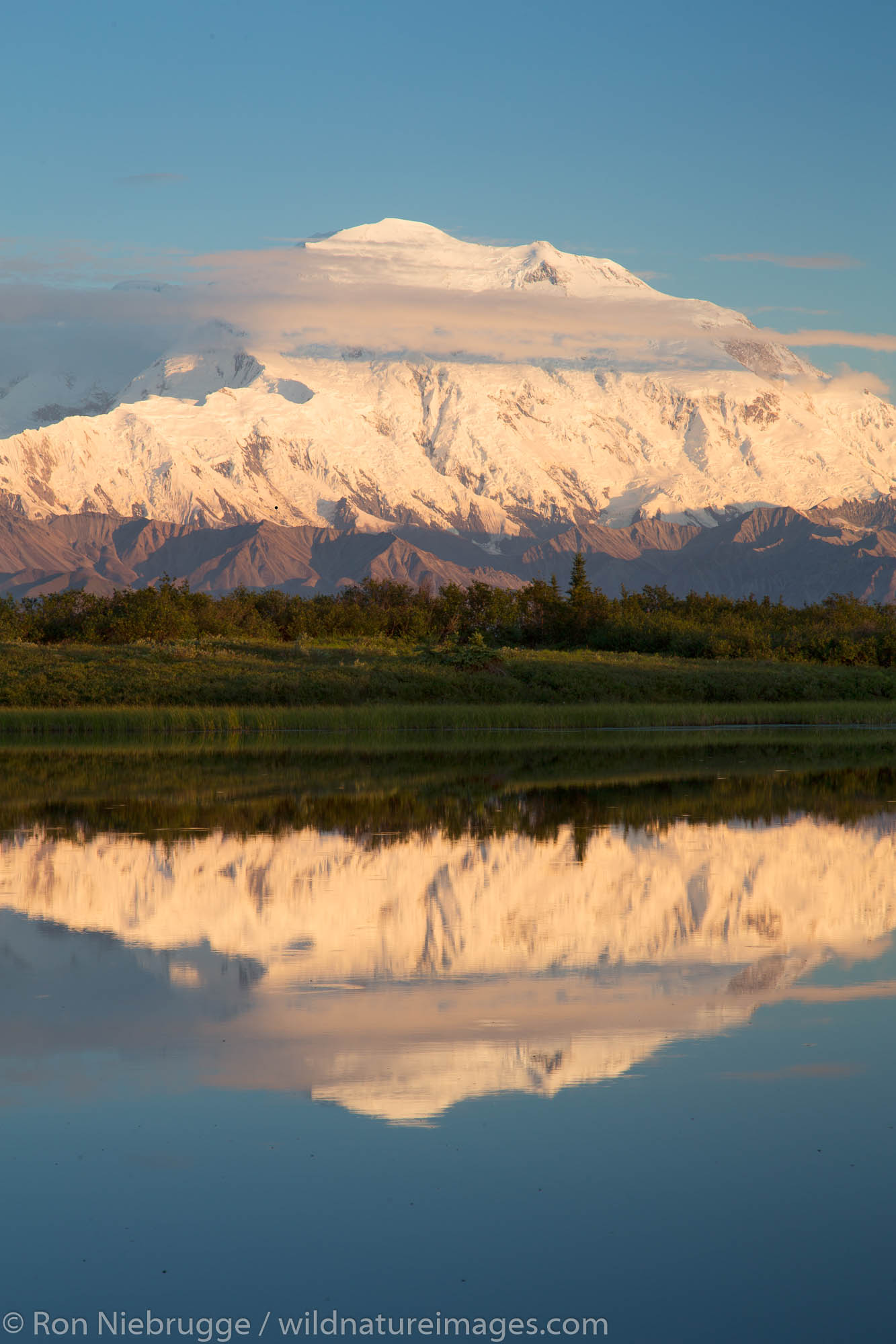 Mt. McKinley, locally known as Denali, at Reflection Pond, Denali National Park, Alaska.