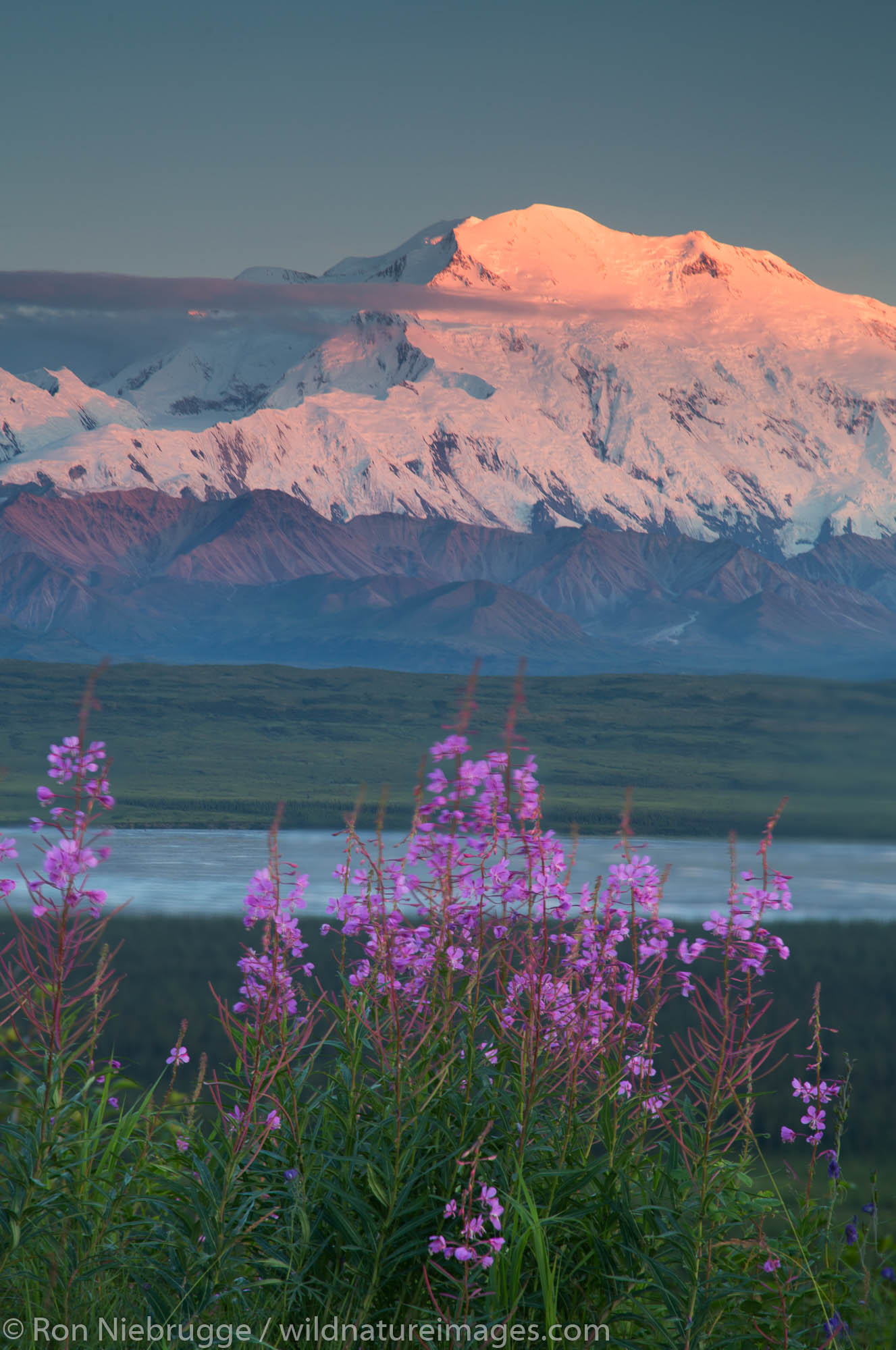 Mt McKinley also known as Denali, Denali National Park, Alaska.