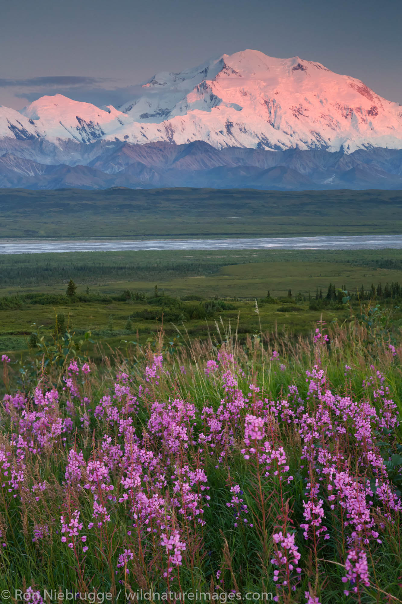 Mt McKinley also known as Denali, Denali National Park, Alaska.