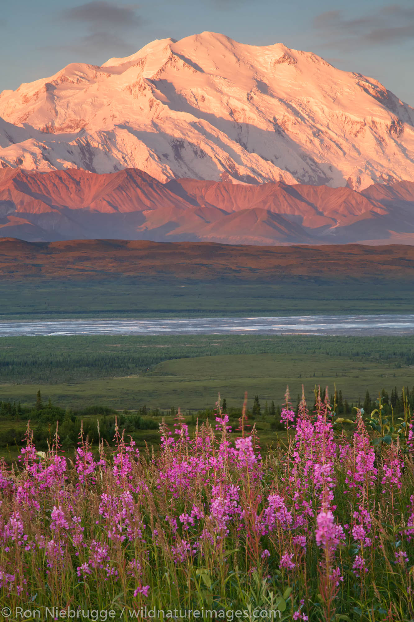 Mt McKinley also known as Denali, Denali National Park, Alaska.