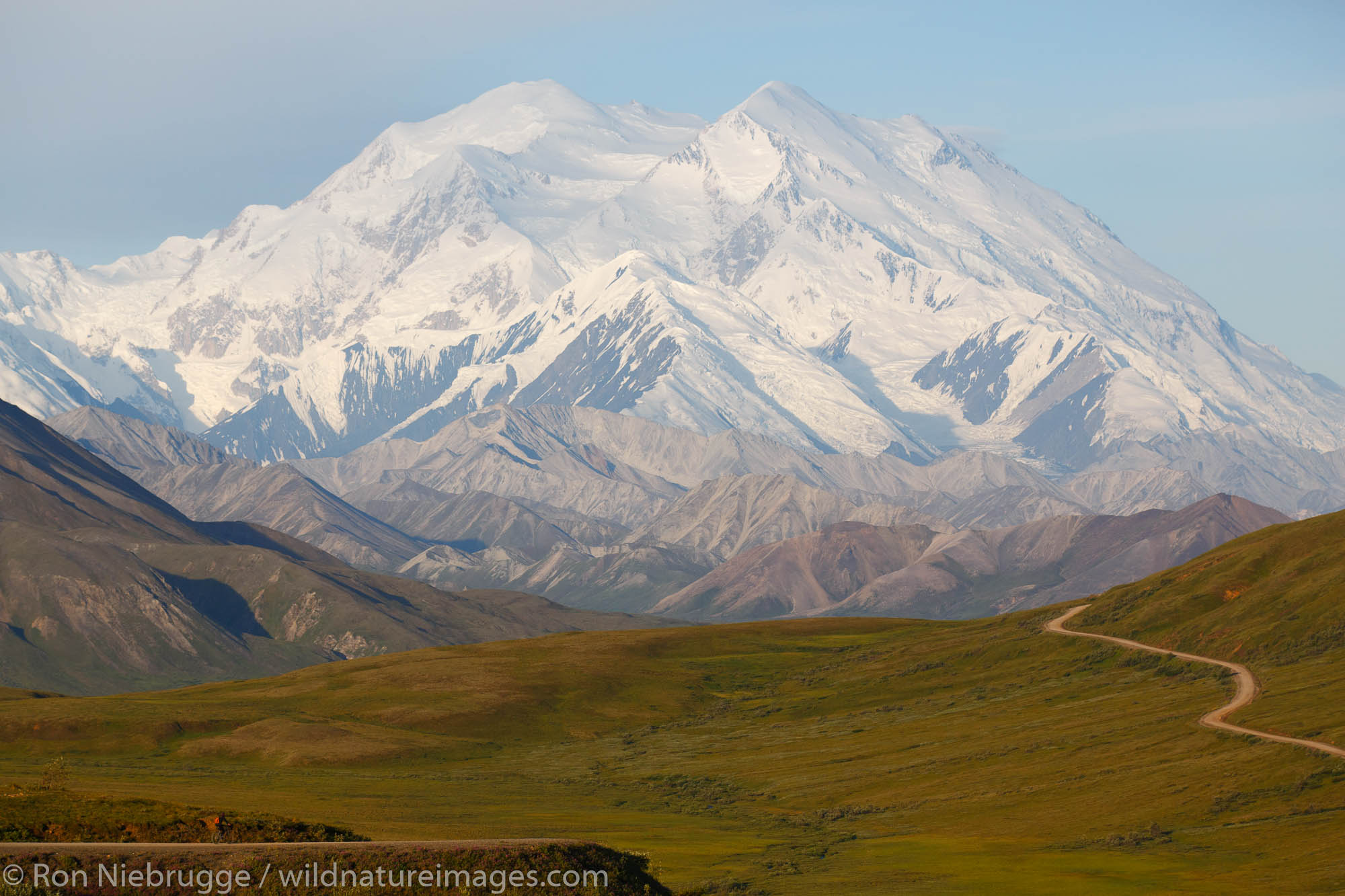 Bike riding in Denali National Park with Mt. McKinley in background, Alaska.