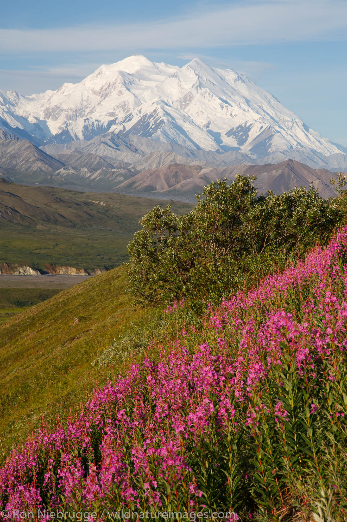Mt McKinley also known as Denali, Denali National Park, Alaska.