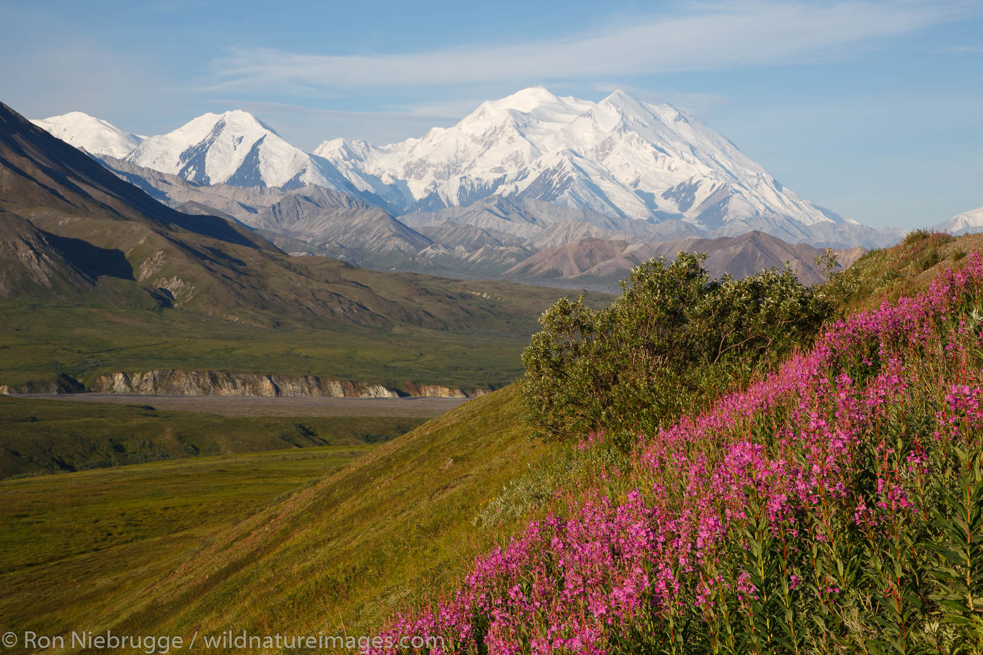 Mt McKinley also known as Denali, Denali National Park, Alaska.