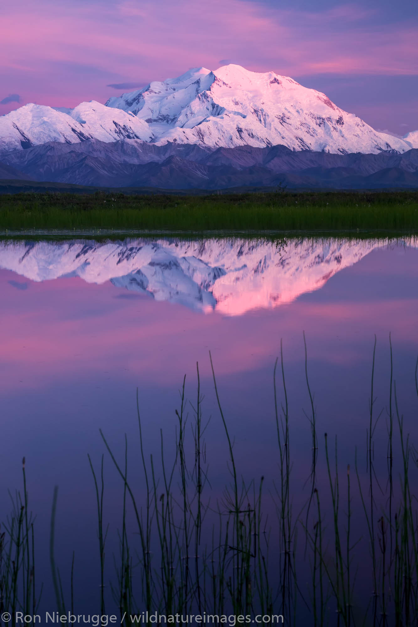 Denali Reflection at sunset.  