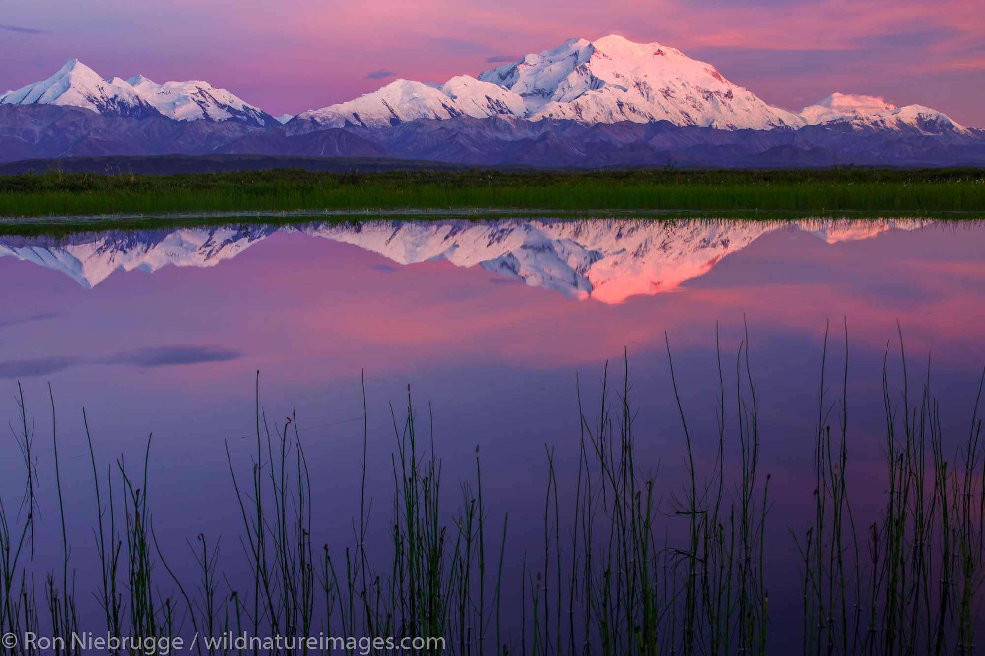 Denali Reflection Mt. McKinley, also known as Denali, Denali National Park, Alaska.
