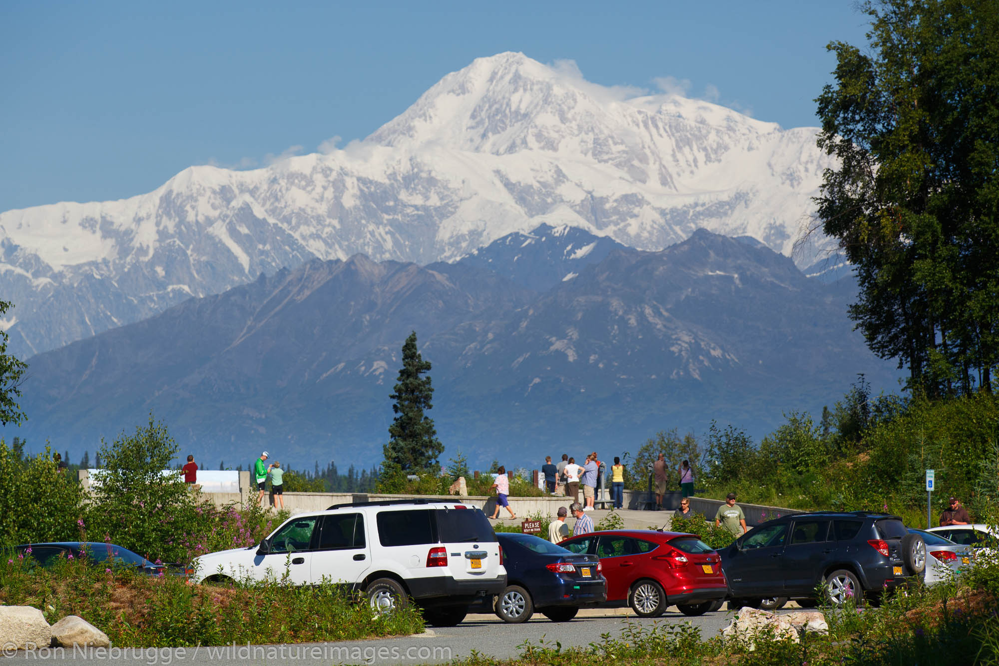 Denali State Park, Alaska.
