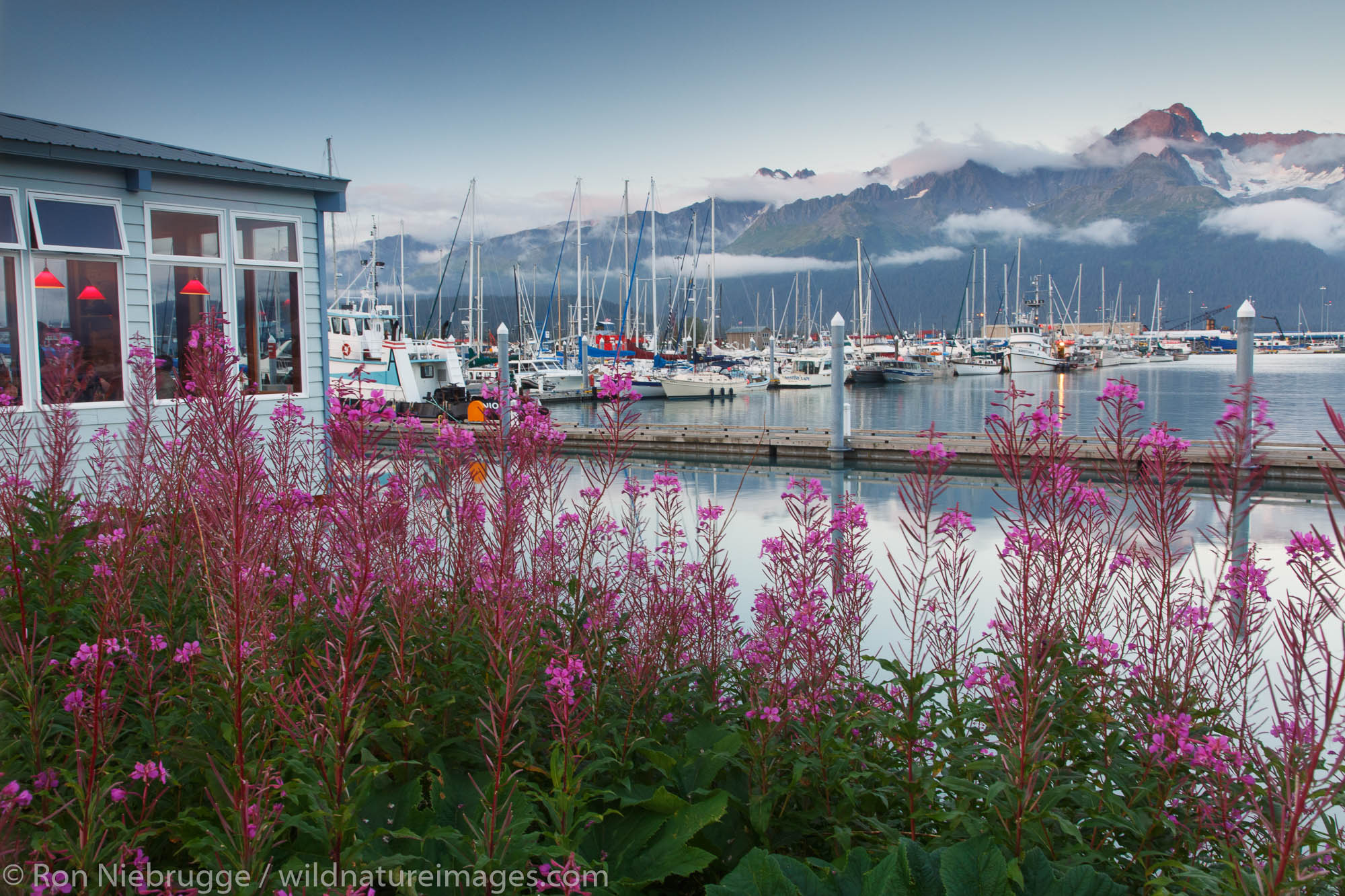 Seward Small Boat Harbor at the head of Resurrection Bay, Seward, Alaska.