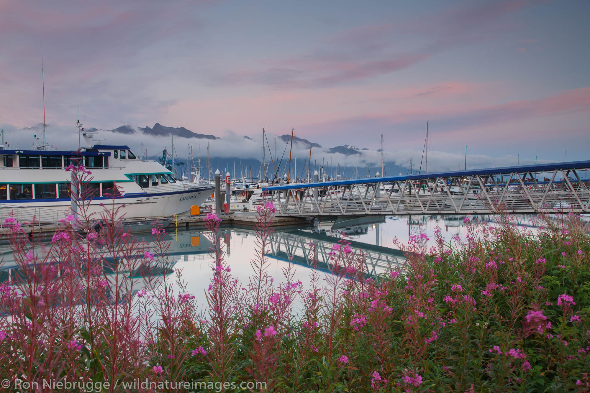Seward Small Boat Harbor at the head of Resurrection Bay, Seward, Alaska.
