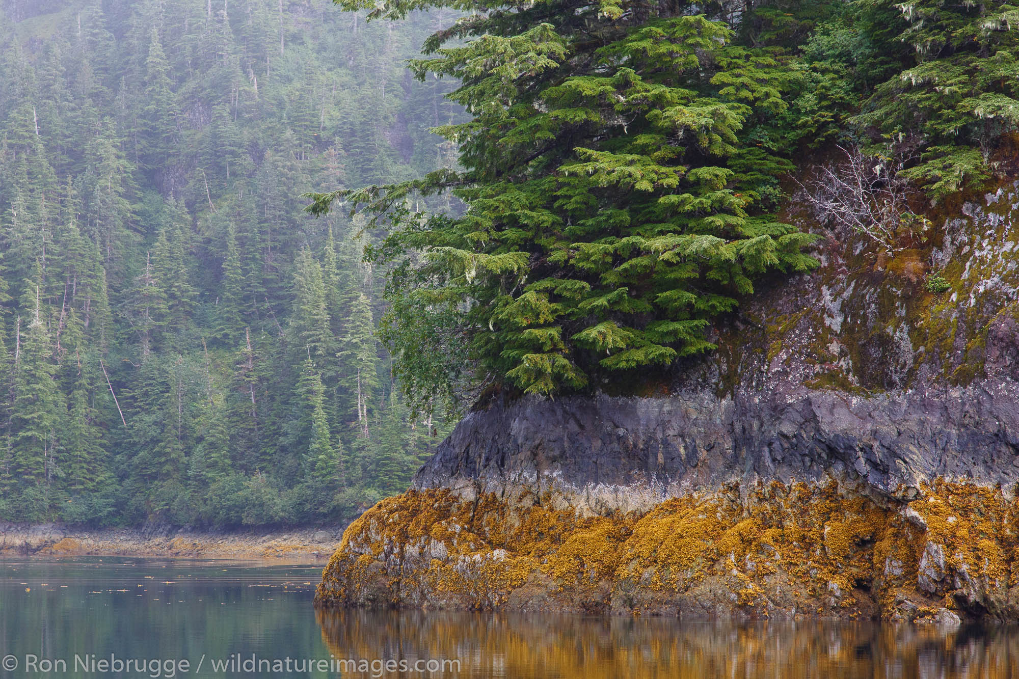 Knight Island, Prince William Sound, Chugach National Forest, Alaska.