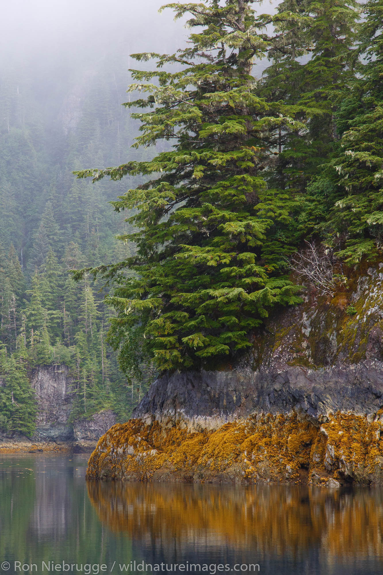 Knight Island, Prince William Sound, Chugach National Forest, Alaska.