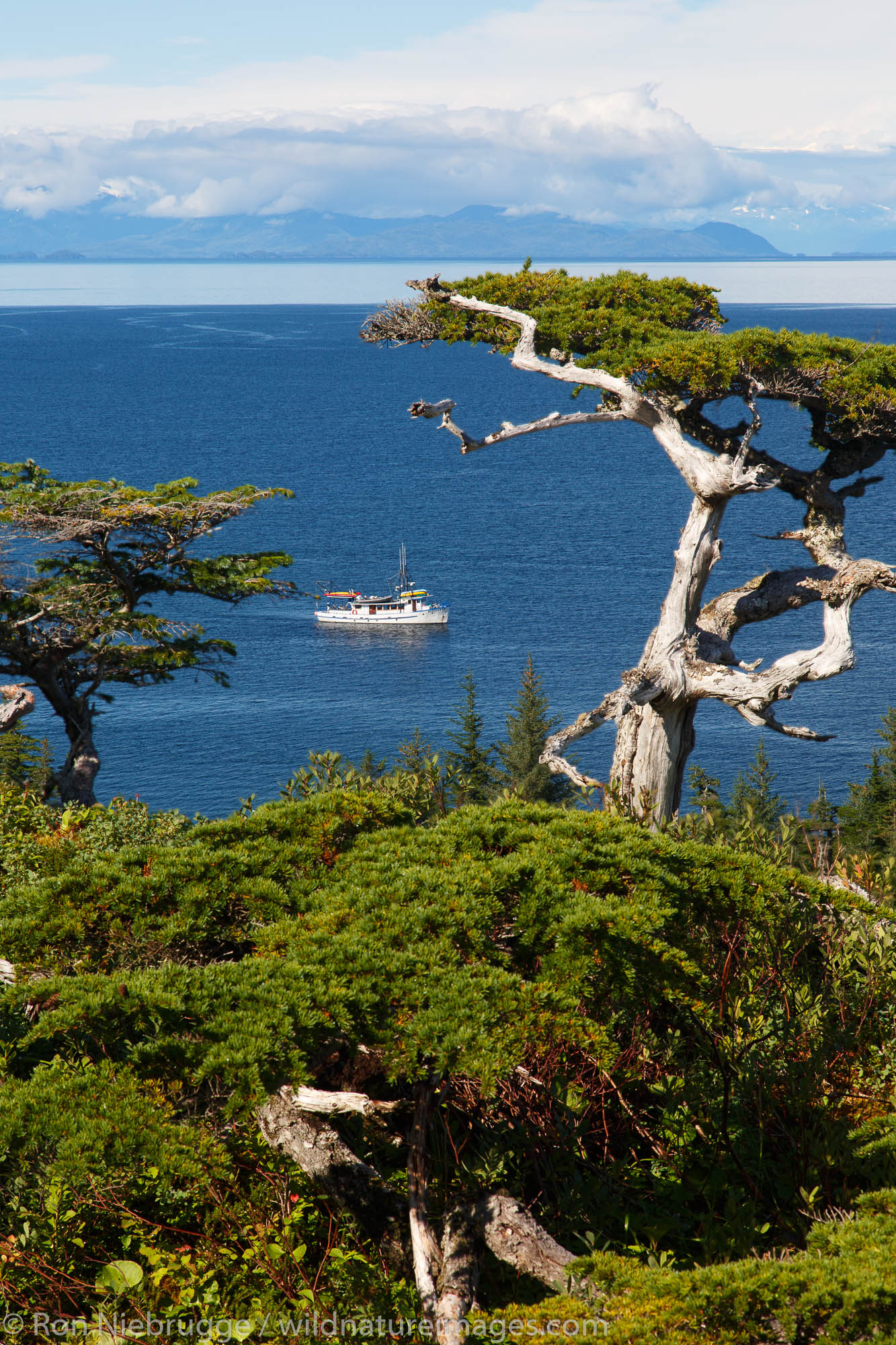 The Discovery at Knight Island, Prince William Sound, Chugach National Forest, Alaska.