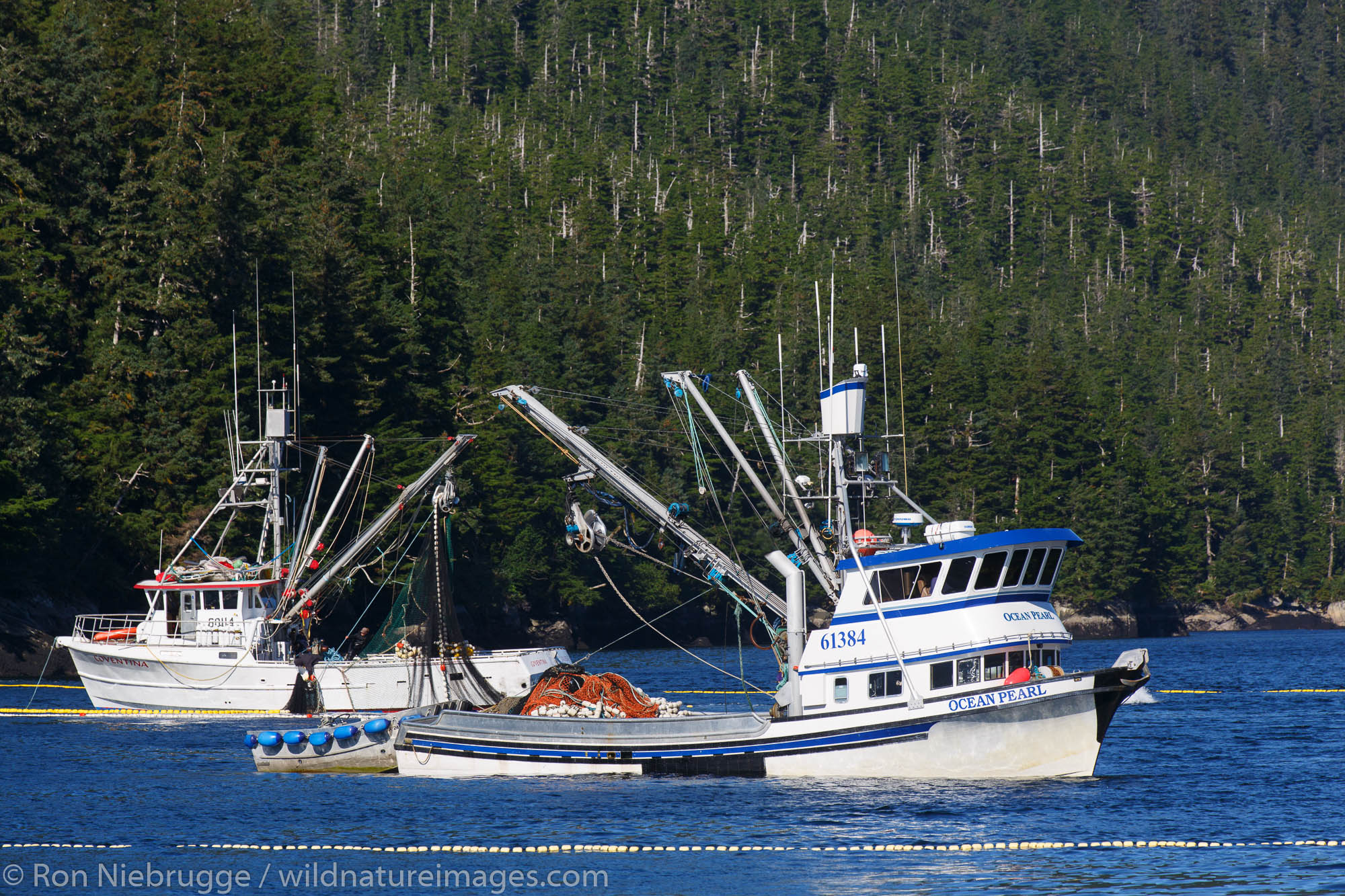 Commercial salmon fishing, Prince William Sound, Chugach National Forest, Alaska