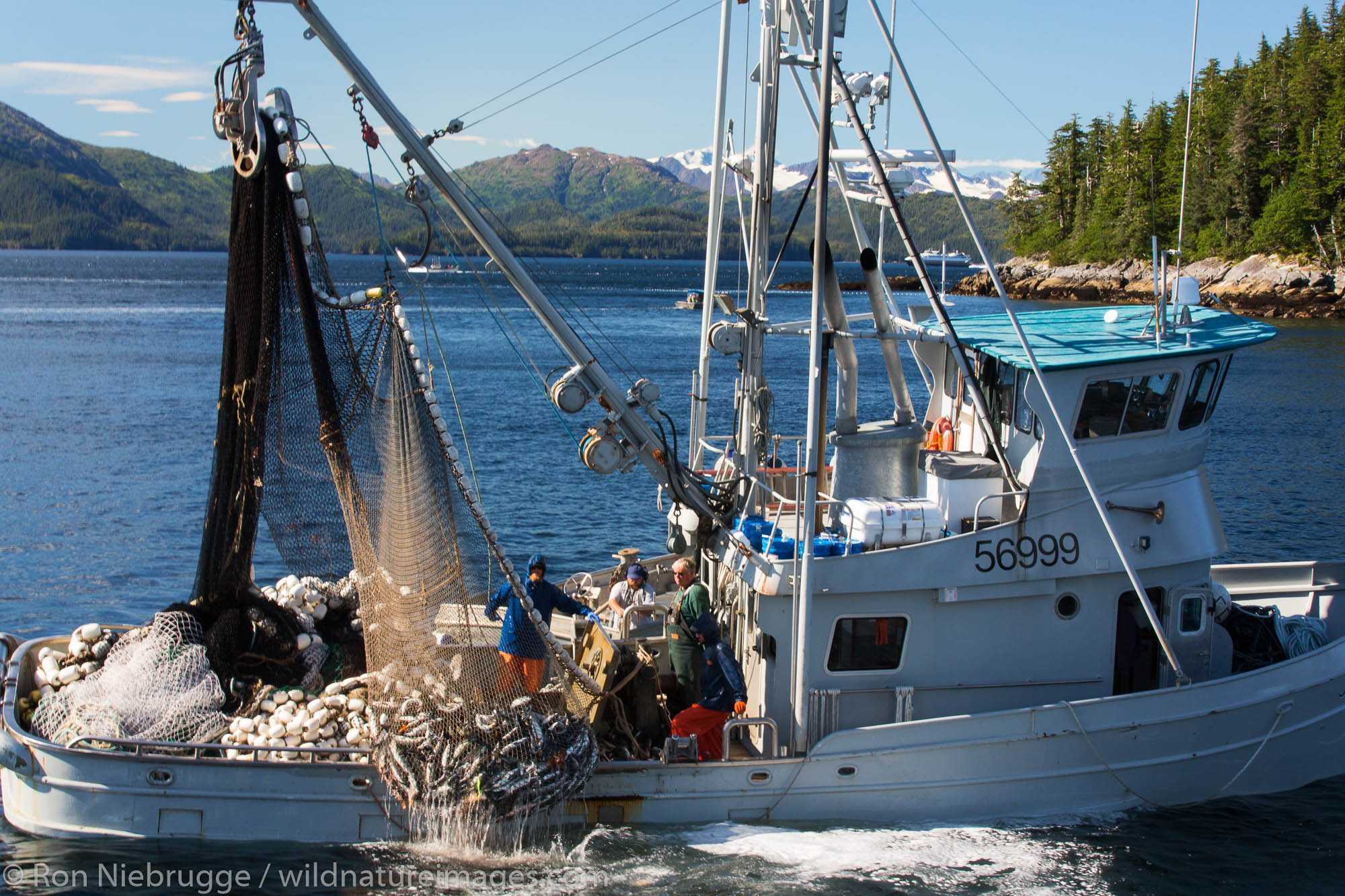 Commercial salmon fishing, Prince William Sound, Chugach National Forest, Alaska