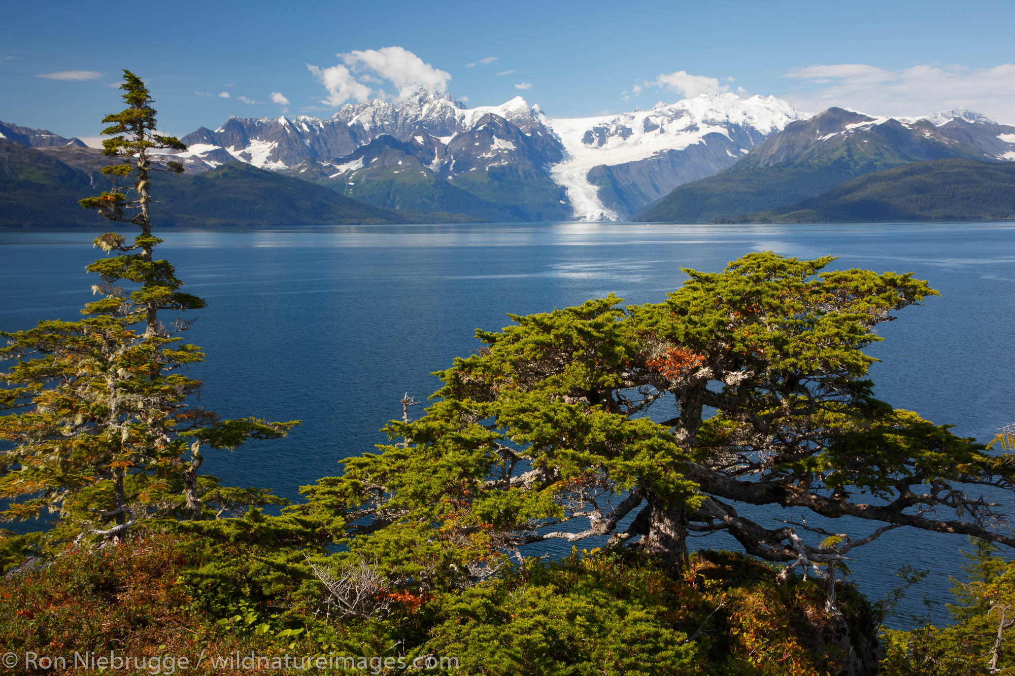 Along Esther Passage and Port Wells, Prince William Sound, Chugach National Forest, Alaska.