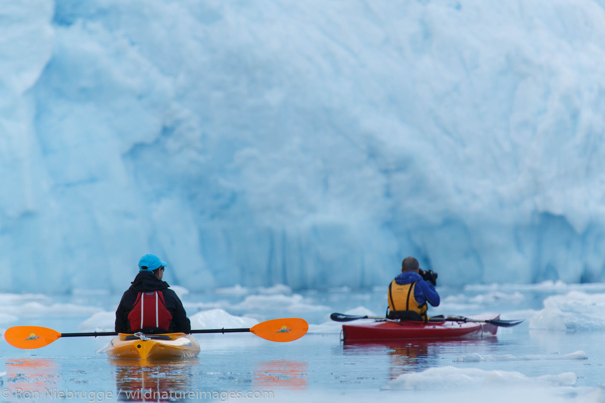 Kayaking in front of Barry Glacier, Harriman Fjord, Prince William Sound, Chugach National Forest, Alaska.