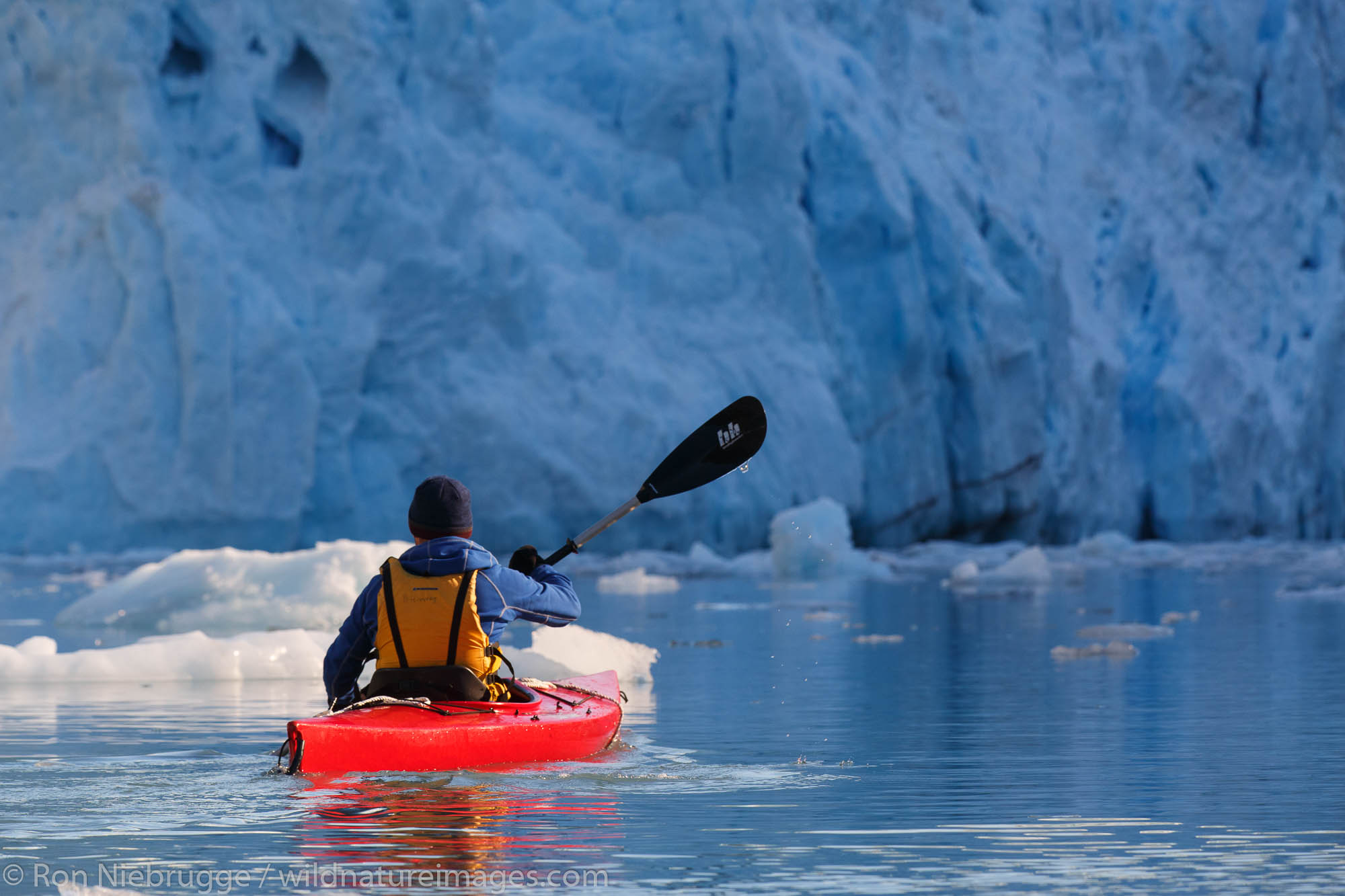 Kayaking in front of Barry Glacier, Harriman Fjord, Prince William Sound, Chugach National Forest, Alaska.