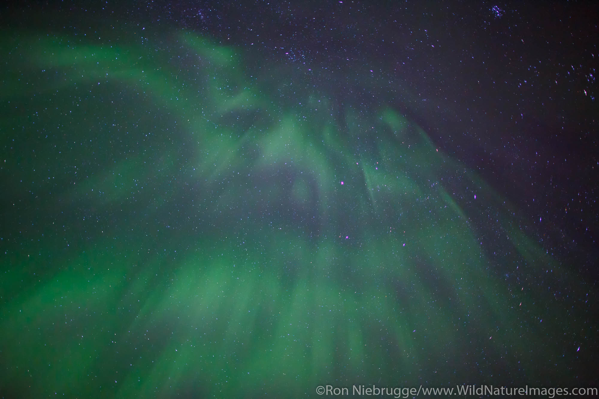 Aurora borealis over Chugach National Forest, near Seward, Alaska.