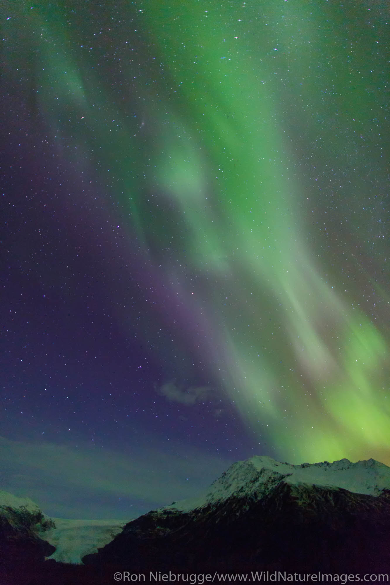 Aurora borealis over Exit Glacier, Kenai Fjords National Park, near Seward, Alaska.