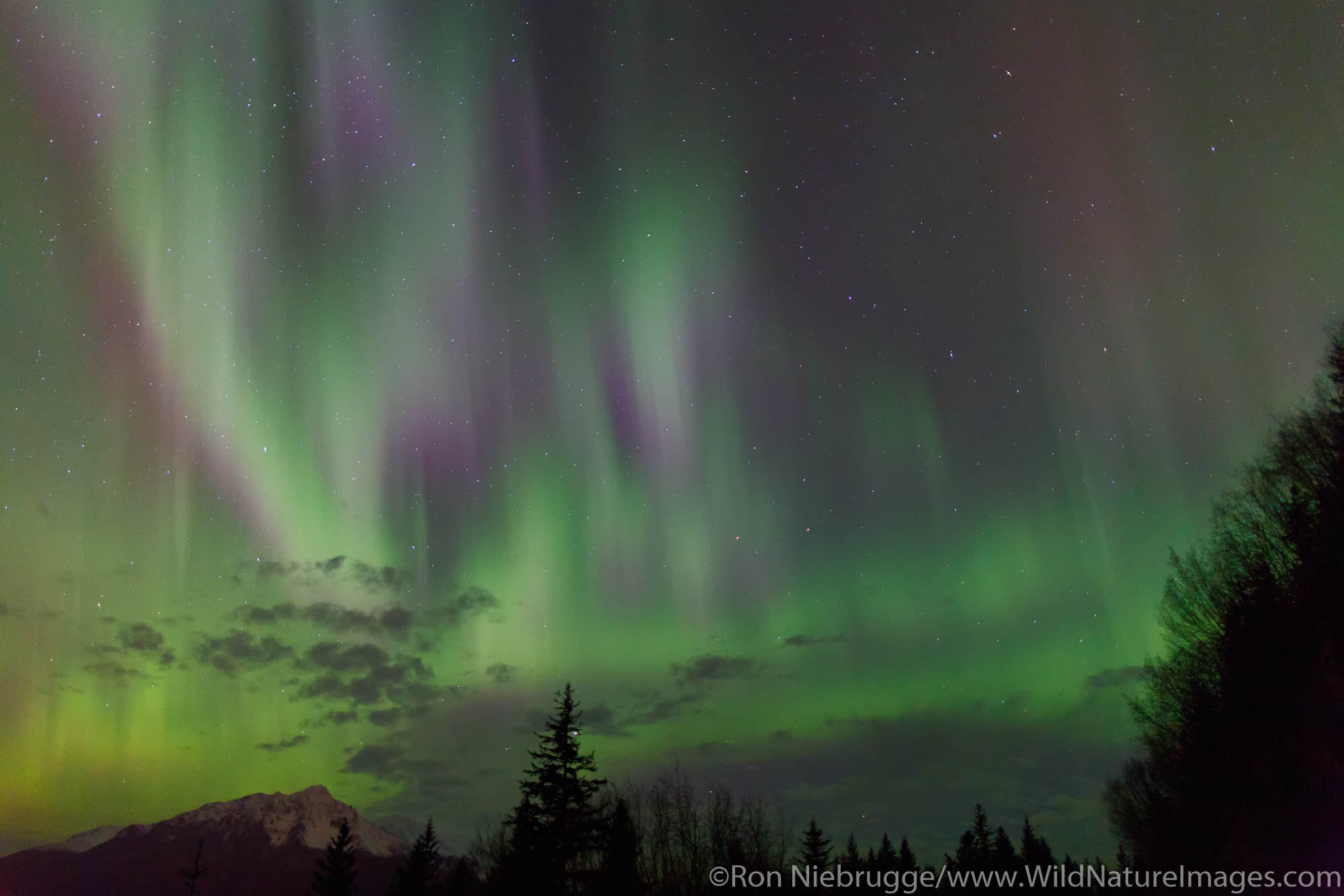 Aurora borealis over Resurrection Bay, Seward, Alaska.