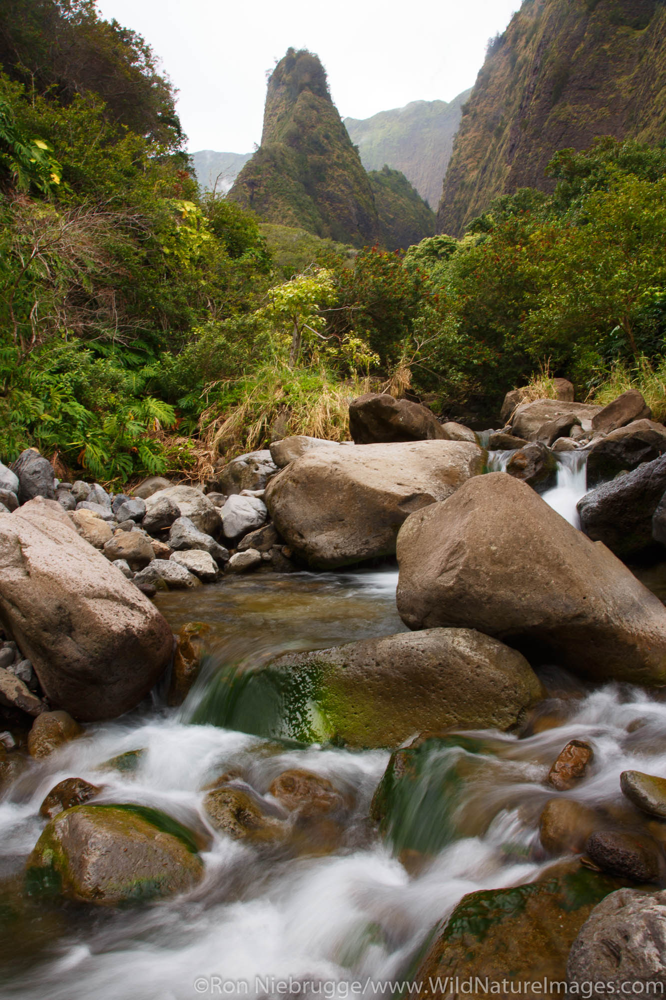 Iao Needle and Iao Valley State Monument, Maui, Hawaii.