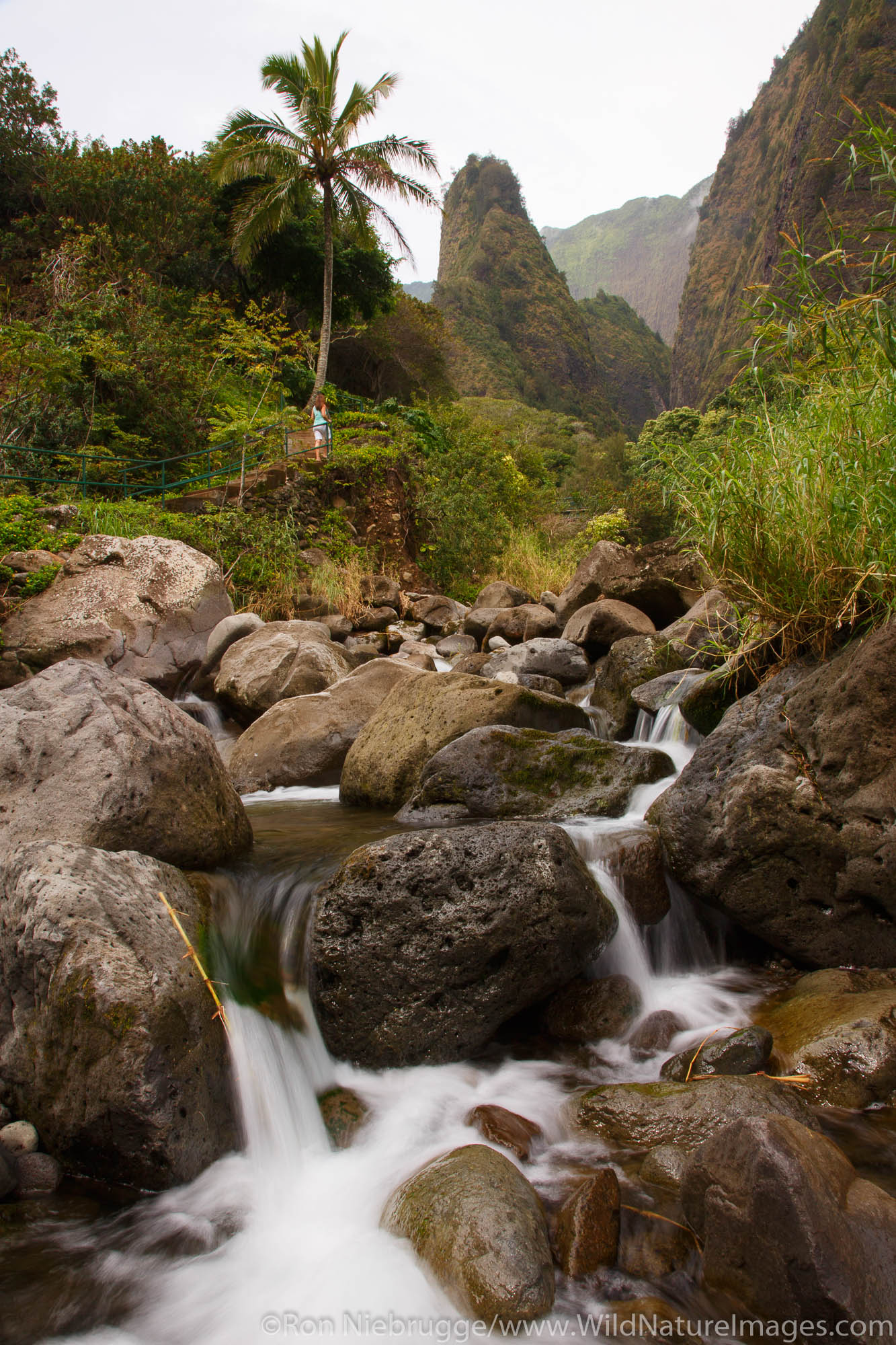 Hker at the Iao Needle and Iao Valley State Park, Maui, Hawaii.  (model released)