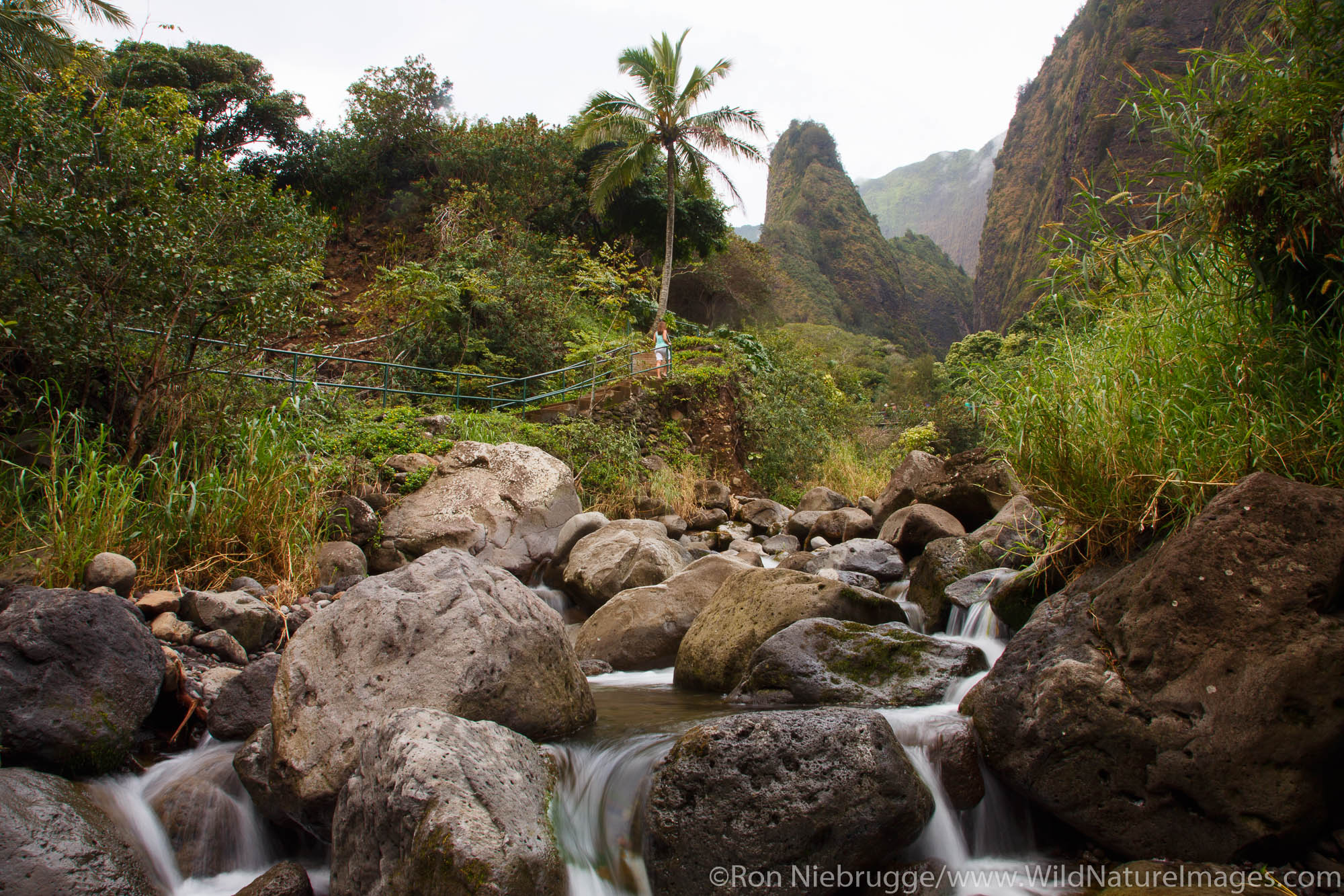 Hker at the Iao Needle and Iao Valley State Park, Maui, Hawaii.  (model released)