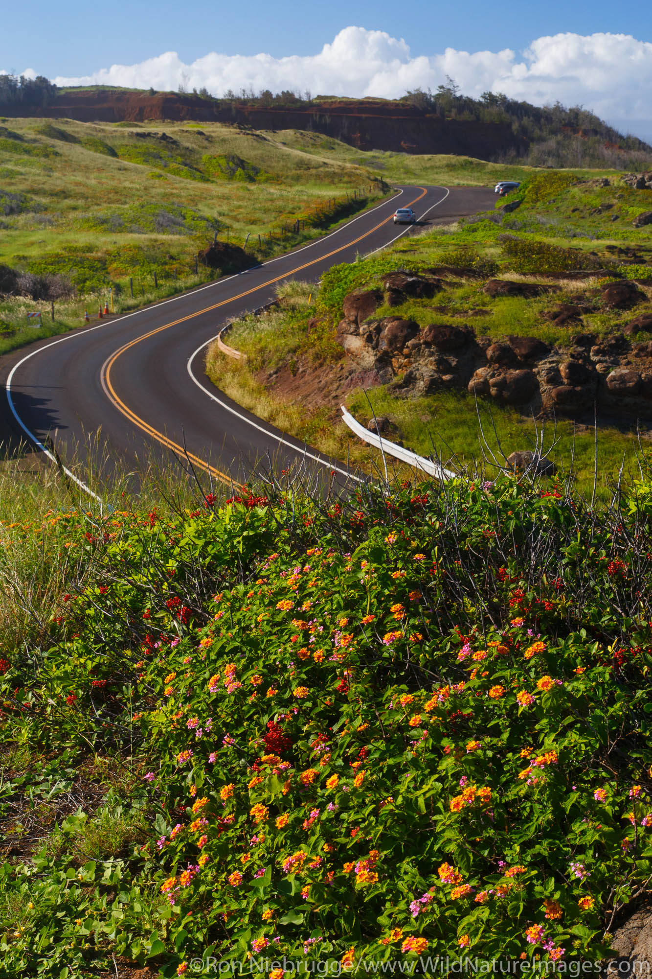 The road along the North end of Maui, Hawaii.