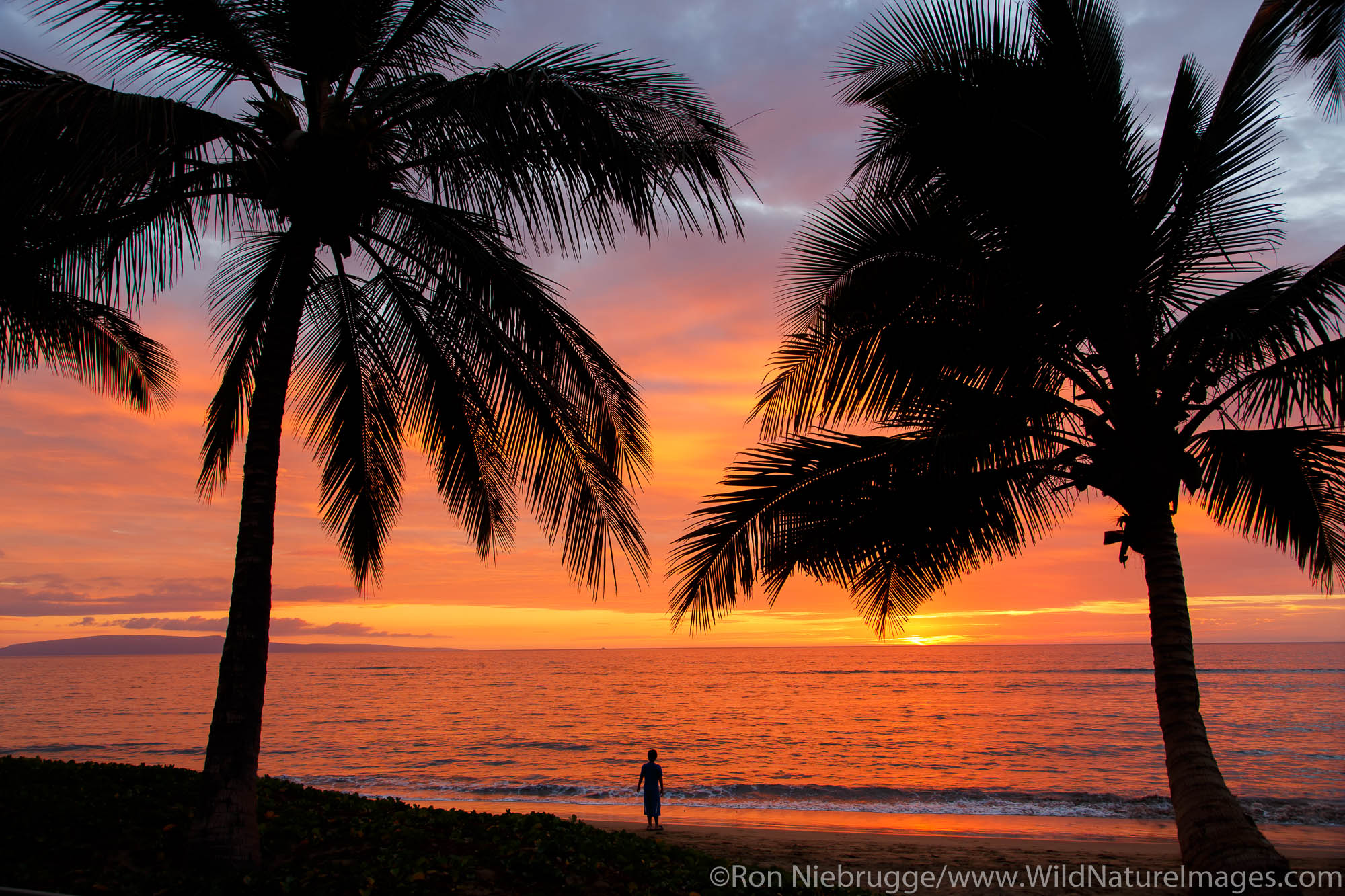 Sunset on Mai Poina 'Oe La'u Beach Park, Maui, Hawaii